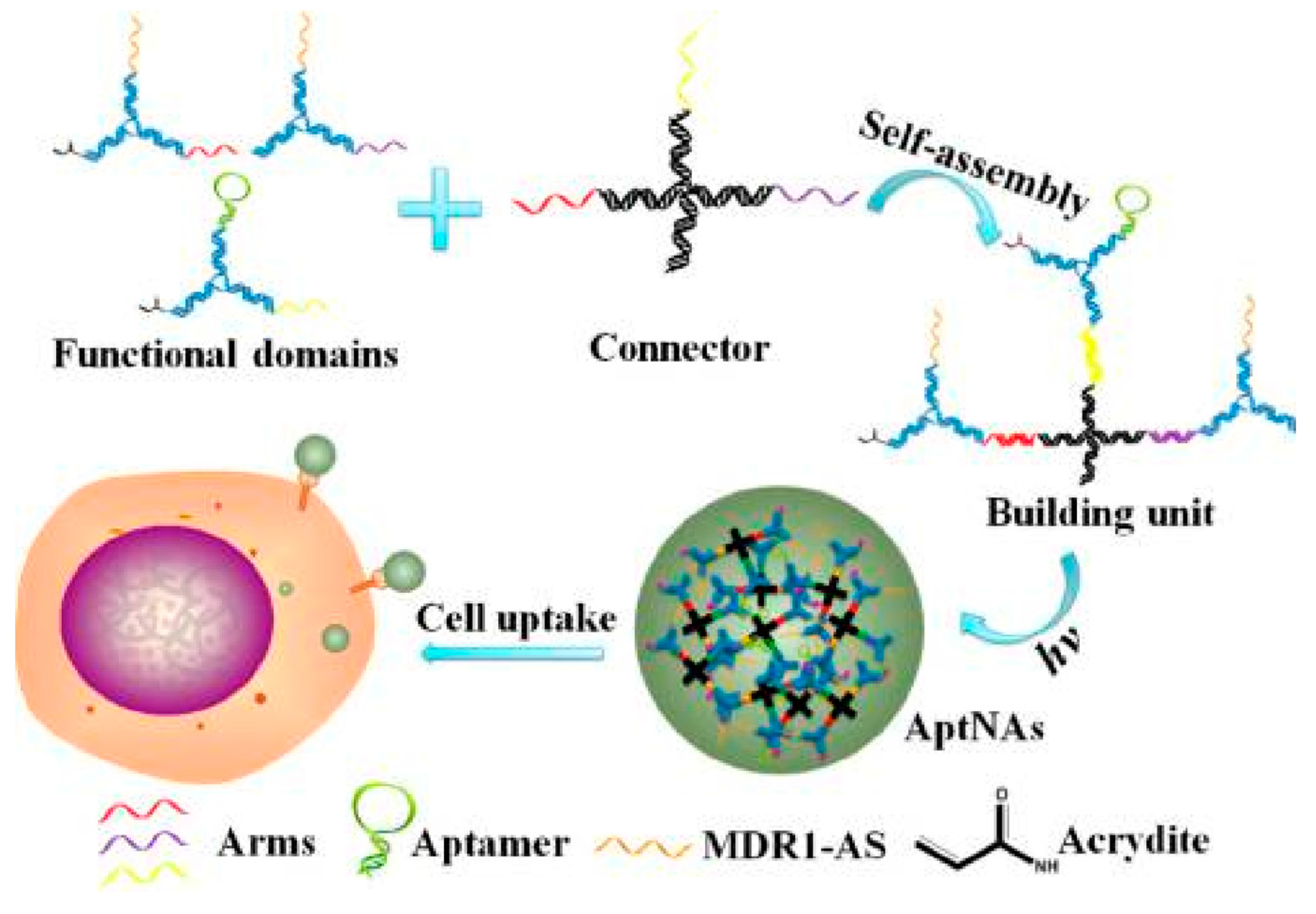 Cancers 10 00047 g009