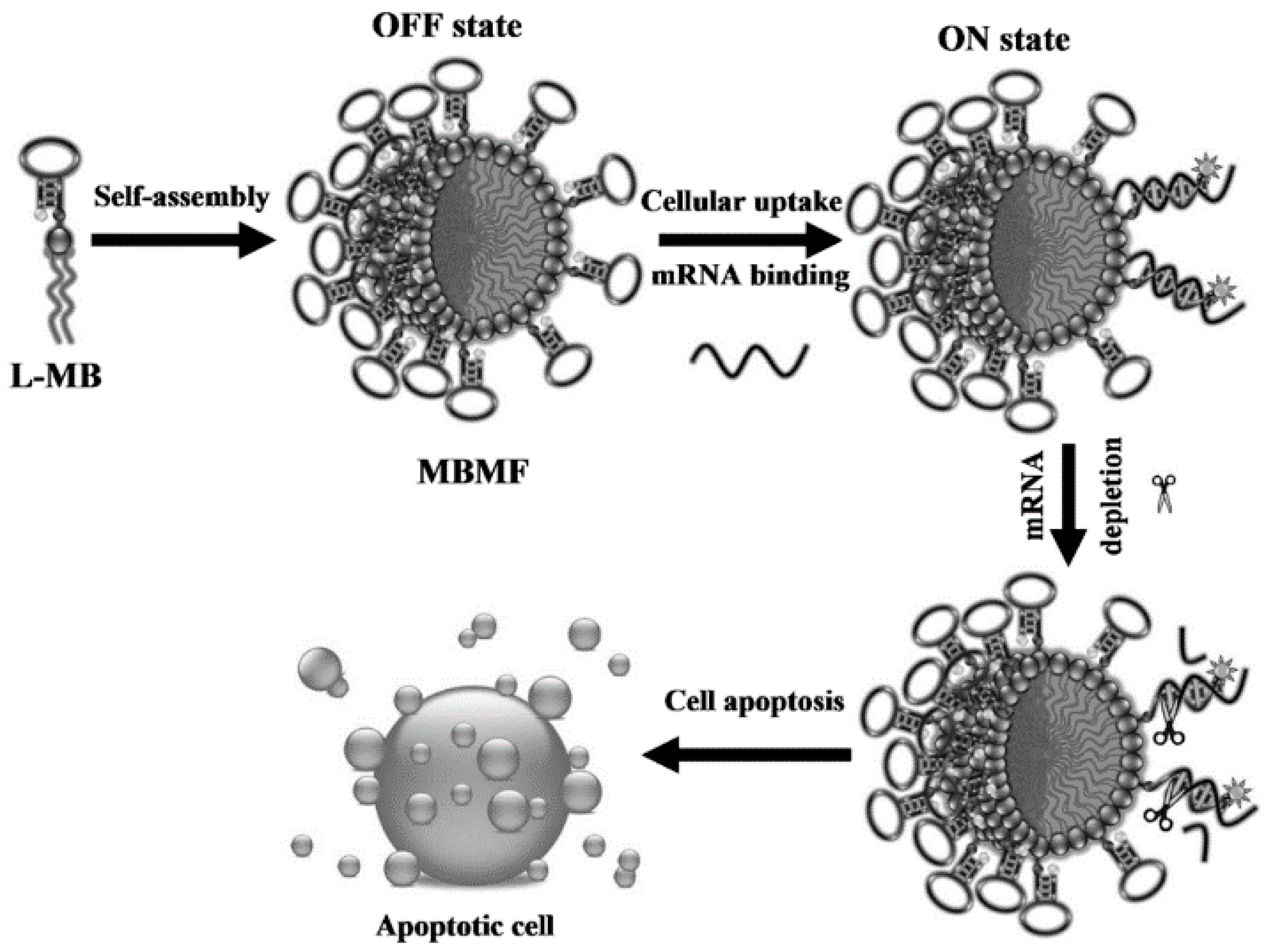 Cancers 10 00047 g011