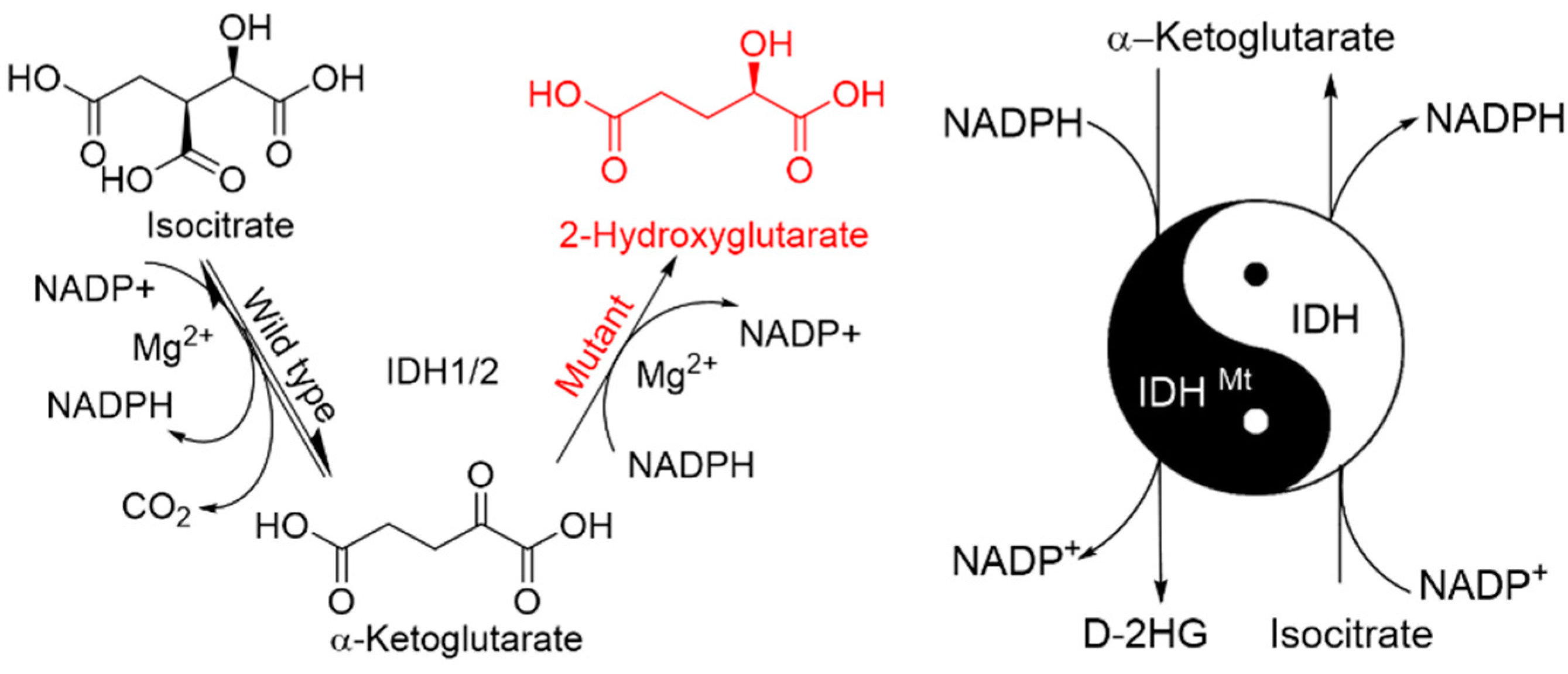 Cancers 10 00049 g002