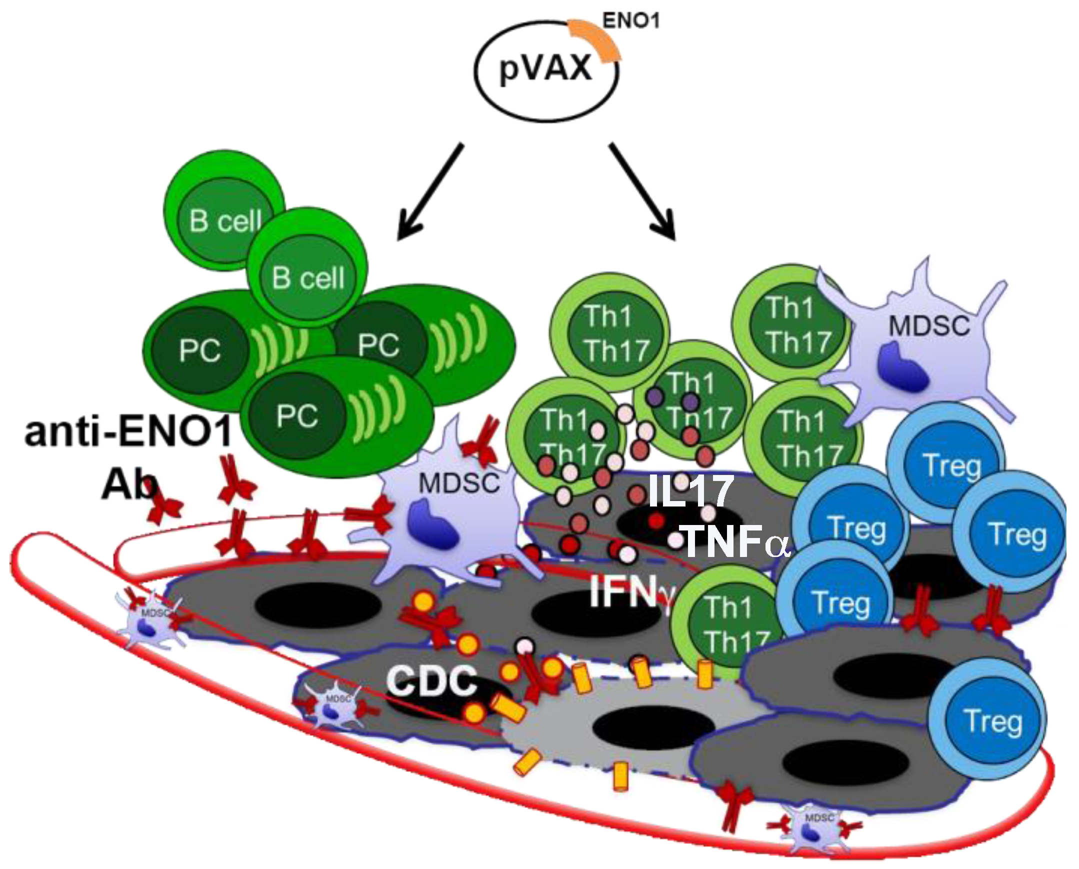 Cancers 10 00051 g001 Cancers 10 00051 g001
