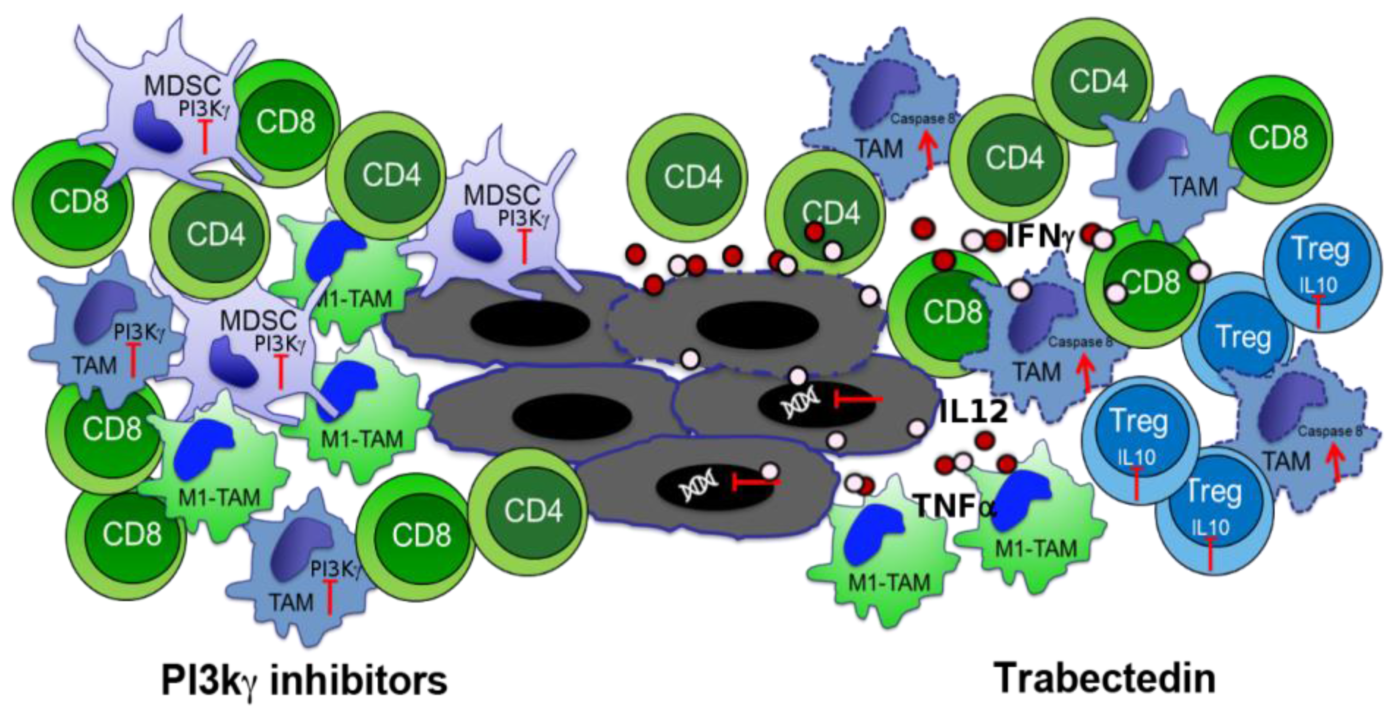 Cancers 10 00051 g003 Cancers 10 00051 g003
