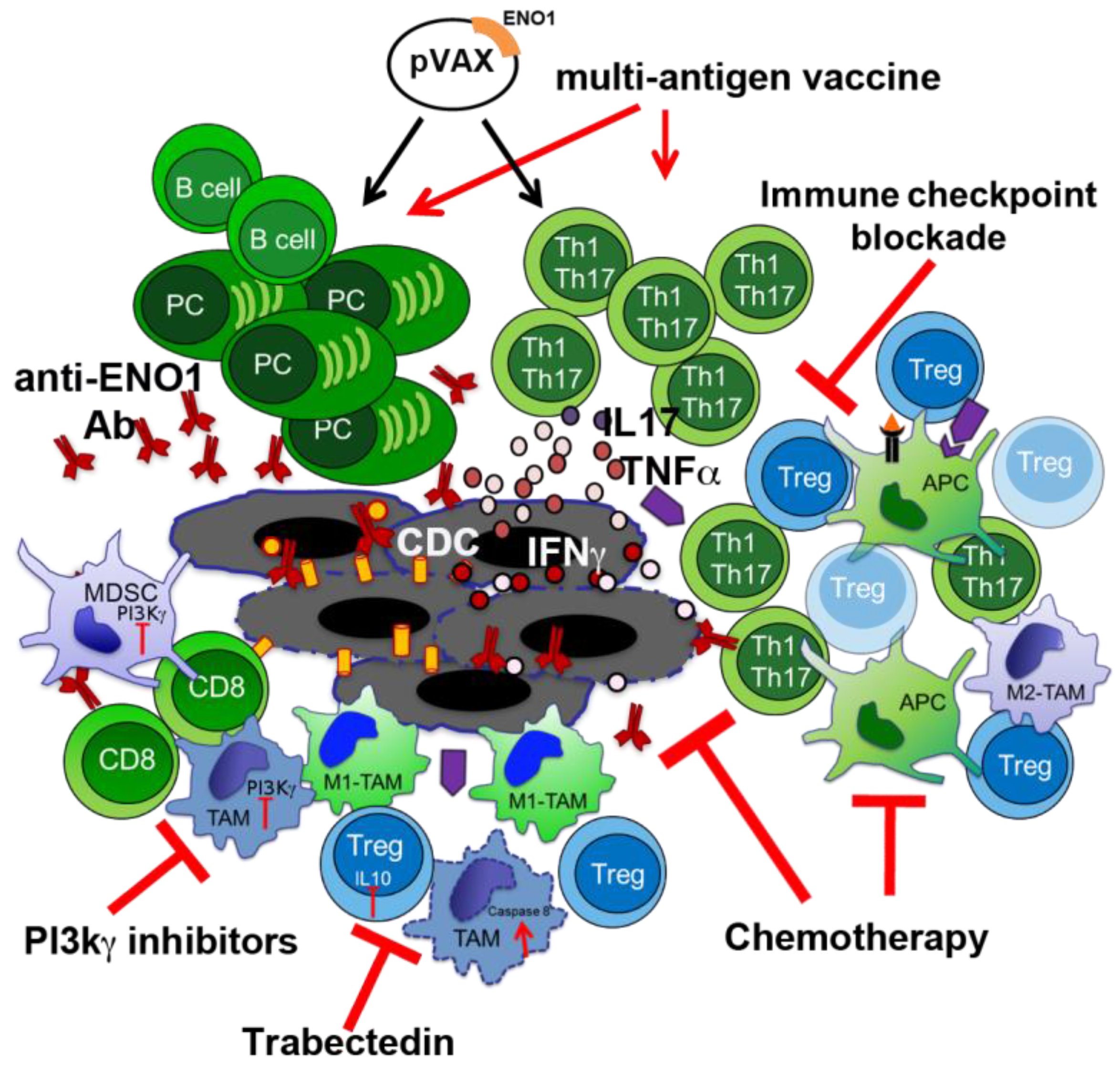 Cancers 10 00051 g004 Cancers 10 00051 g004