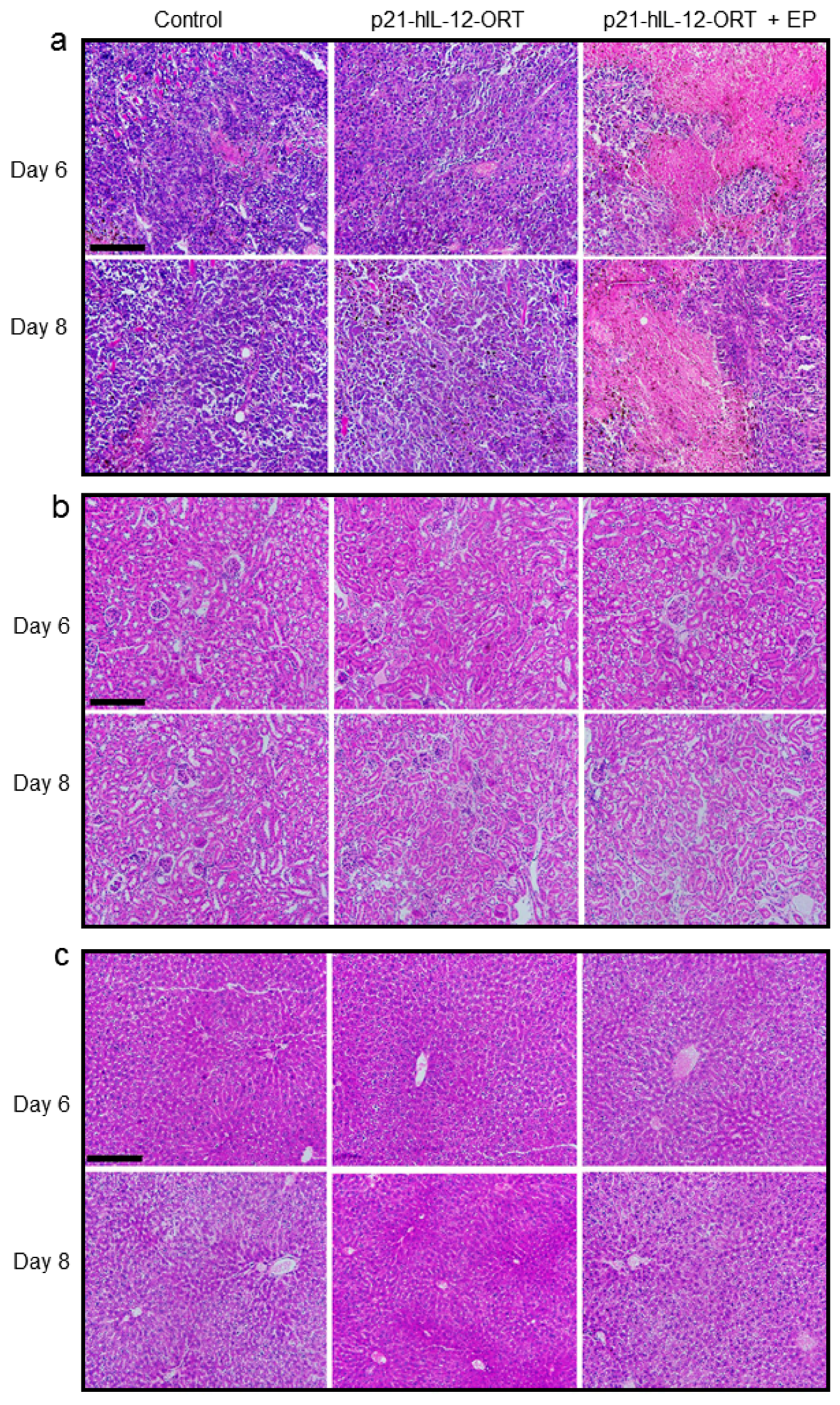 Cancers 10 00060 g003
