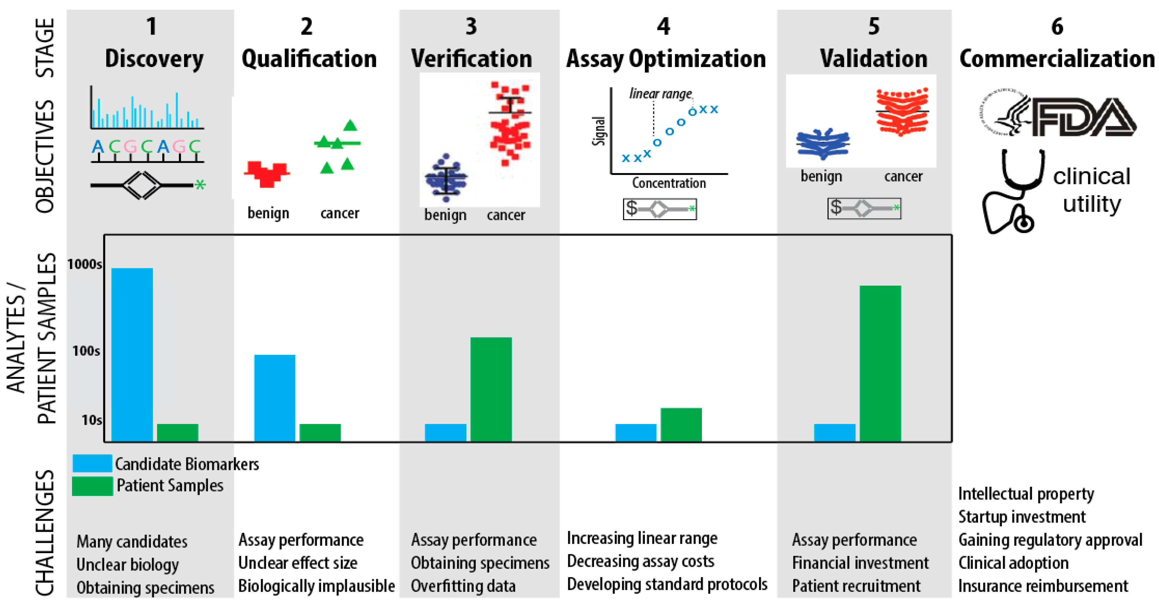 Cancers 10 00067 g001