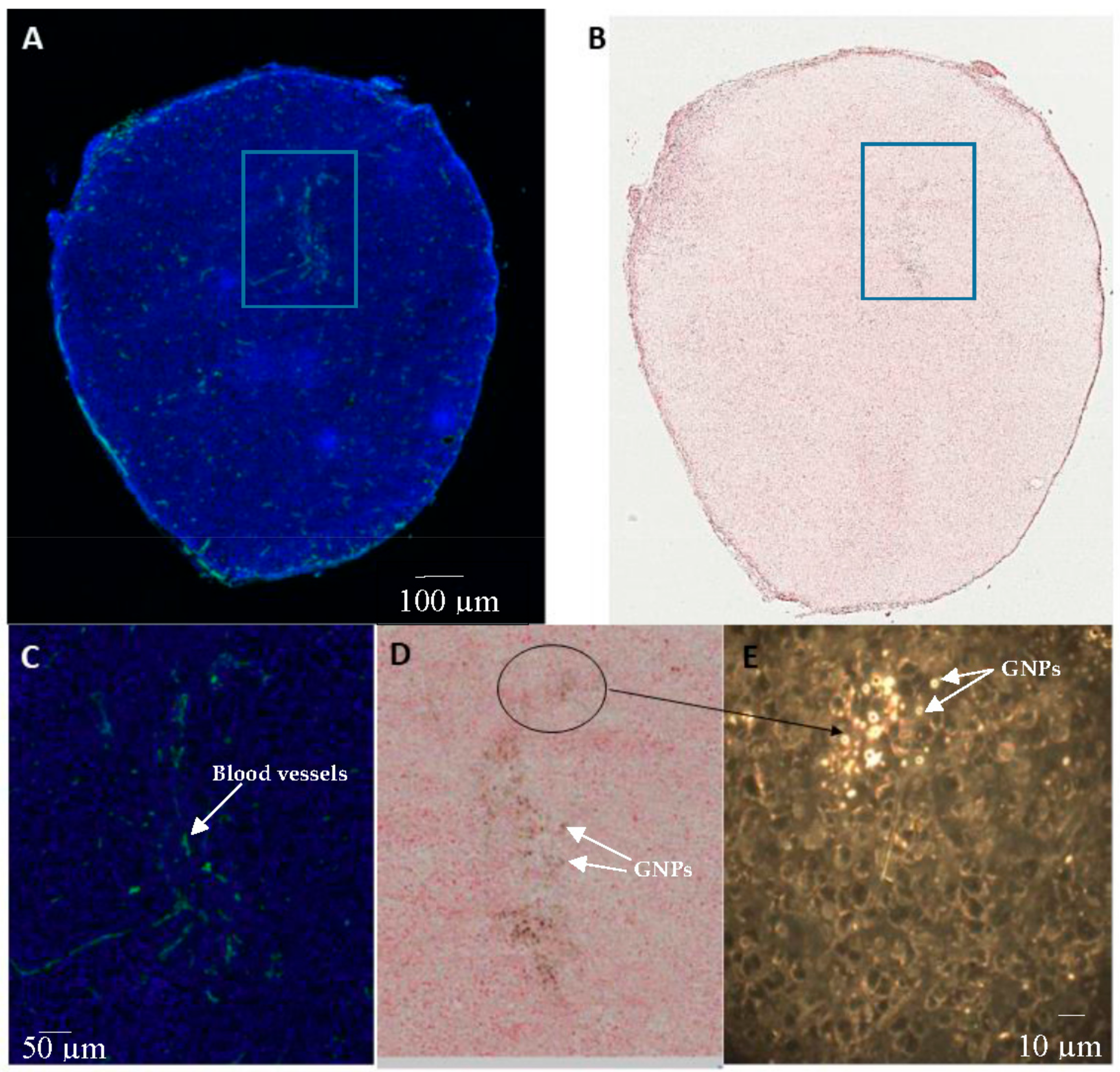 Cancers 10 00084 g008