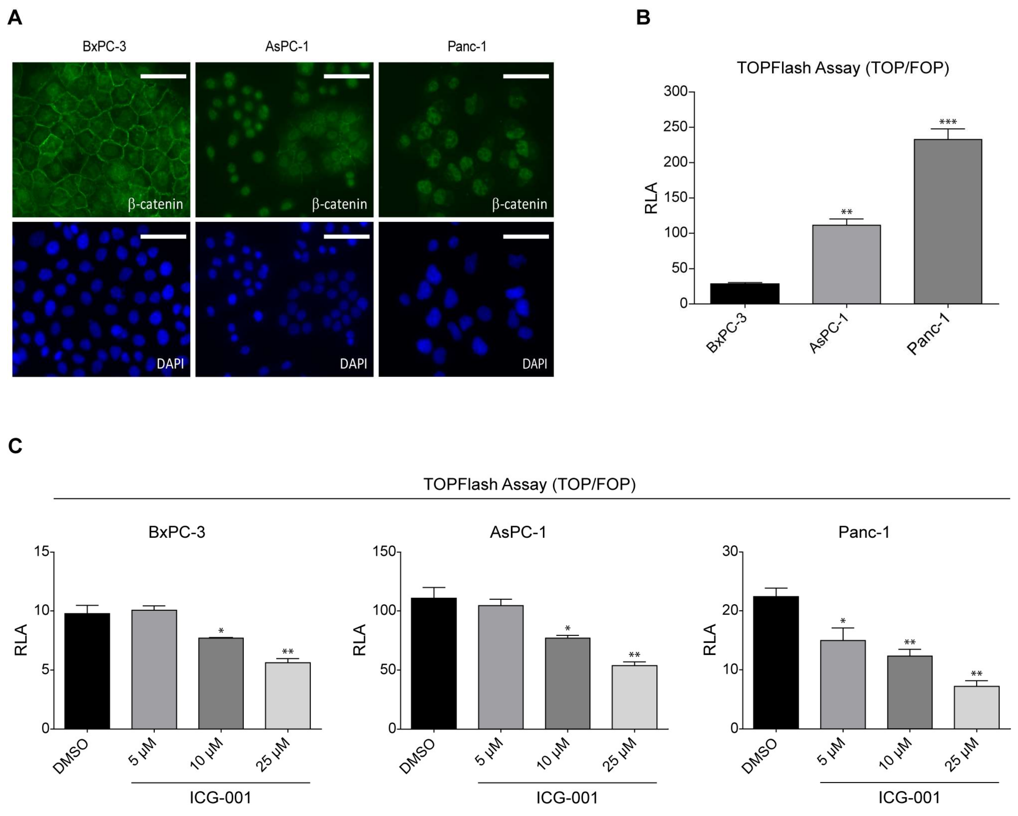 Cancers 10 00095 g001