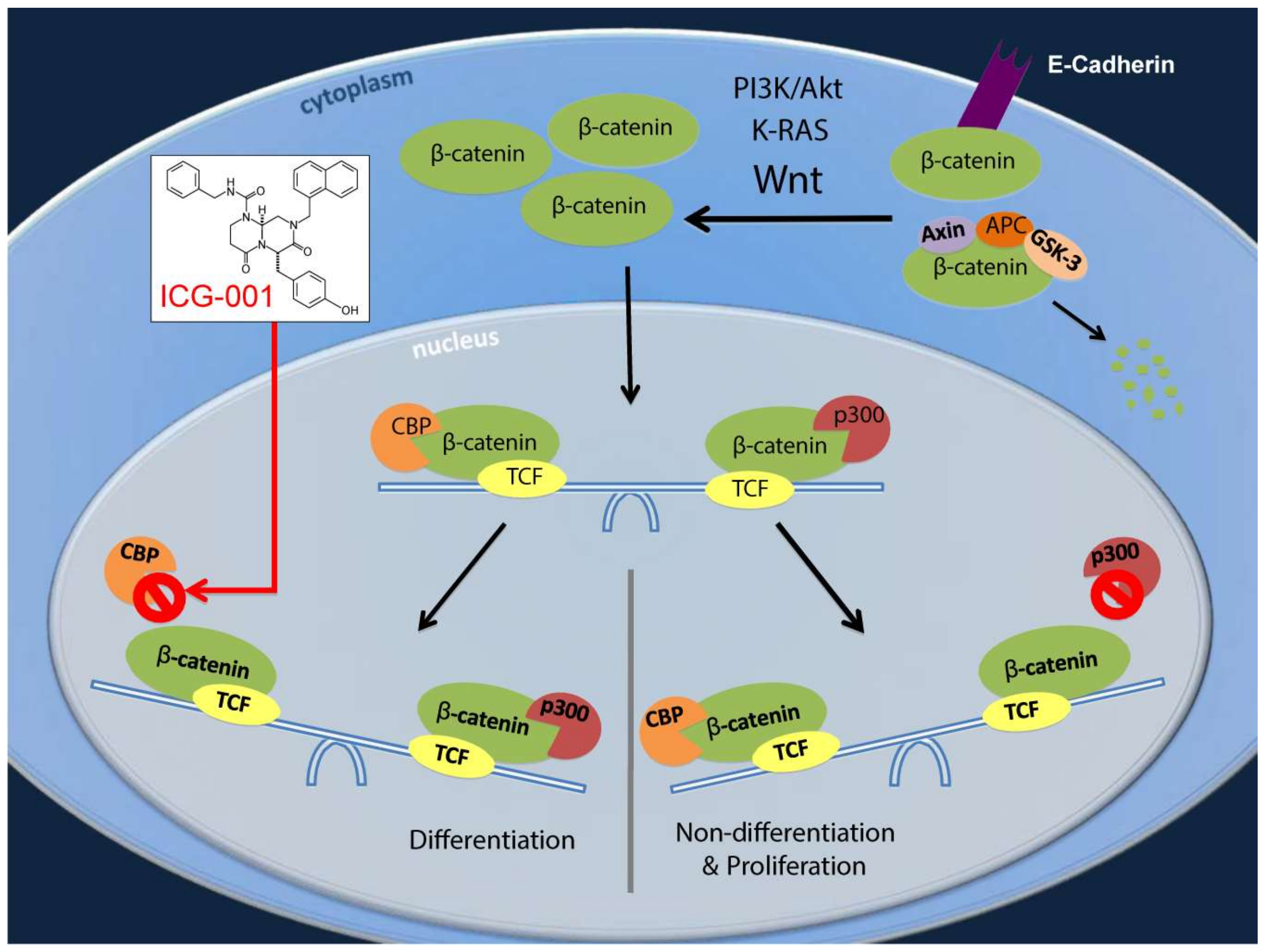 Cancers 10 00095 g006