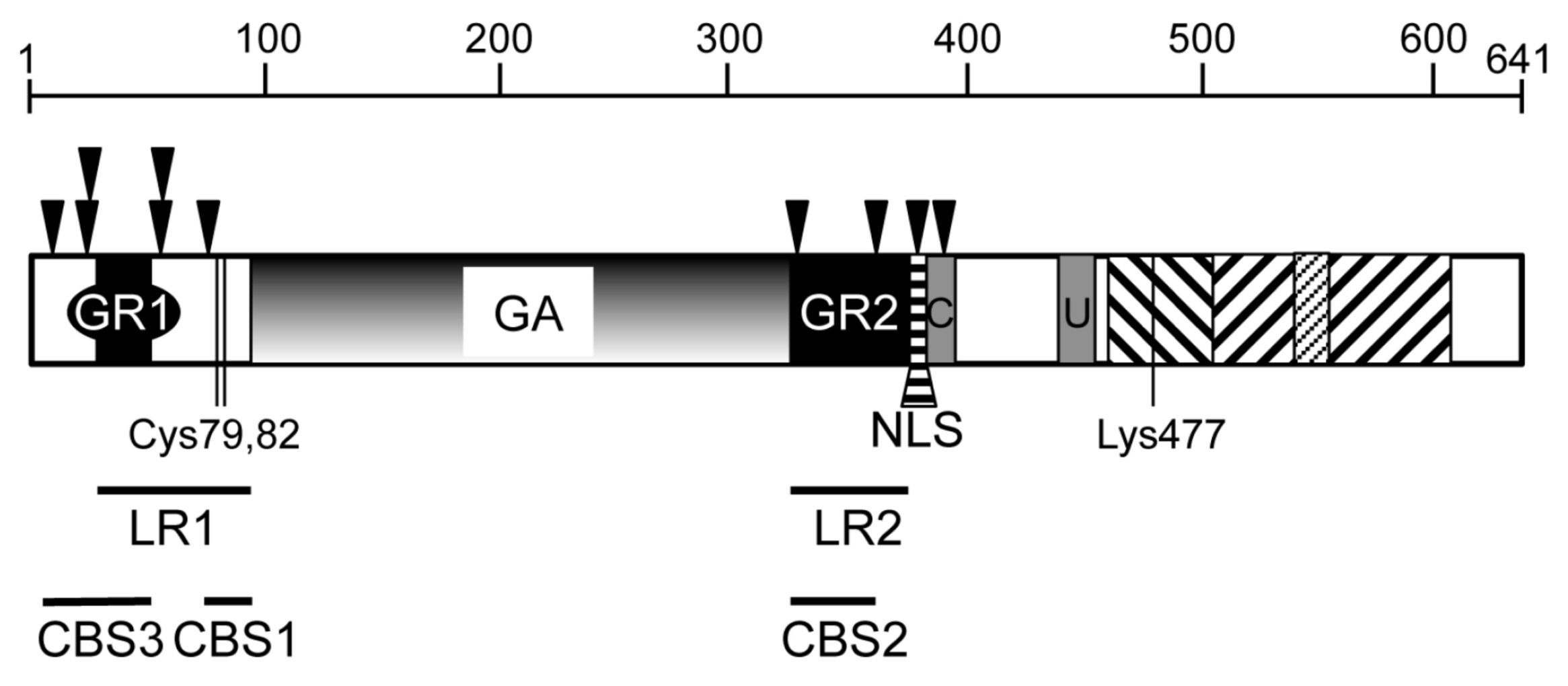 Cancers 10 00109 g001