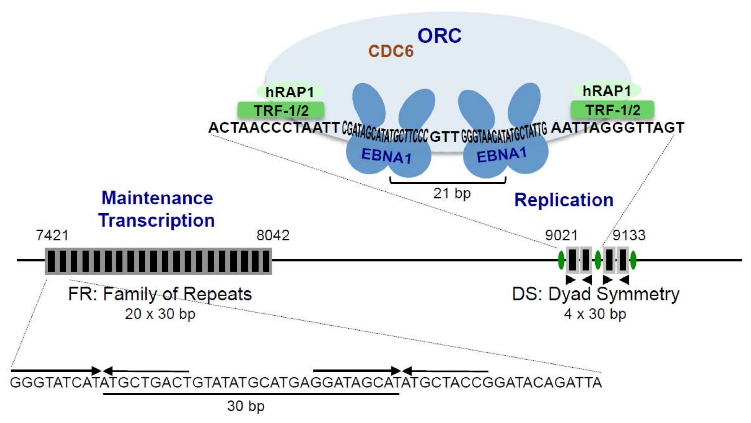 Cancers 10 00109 g002
