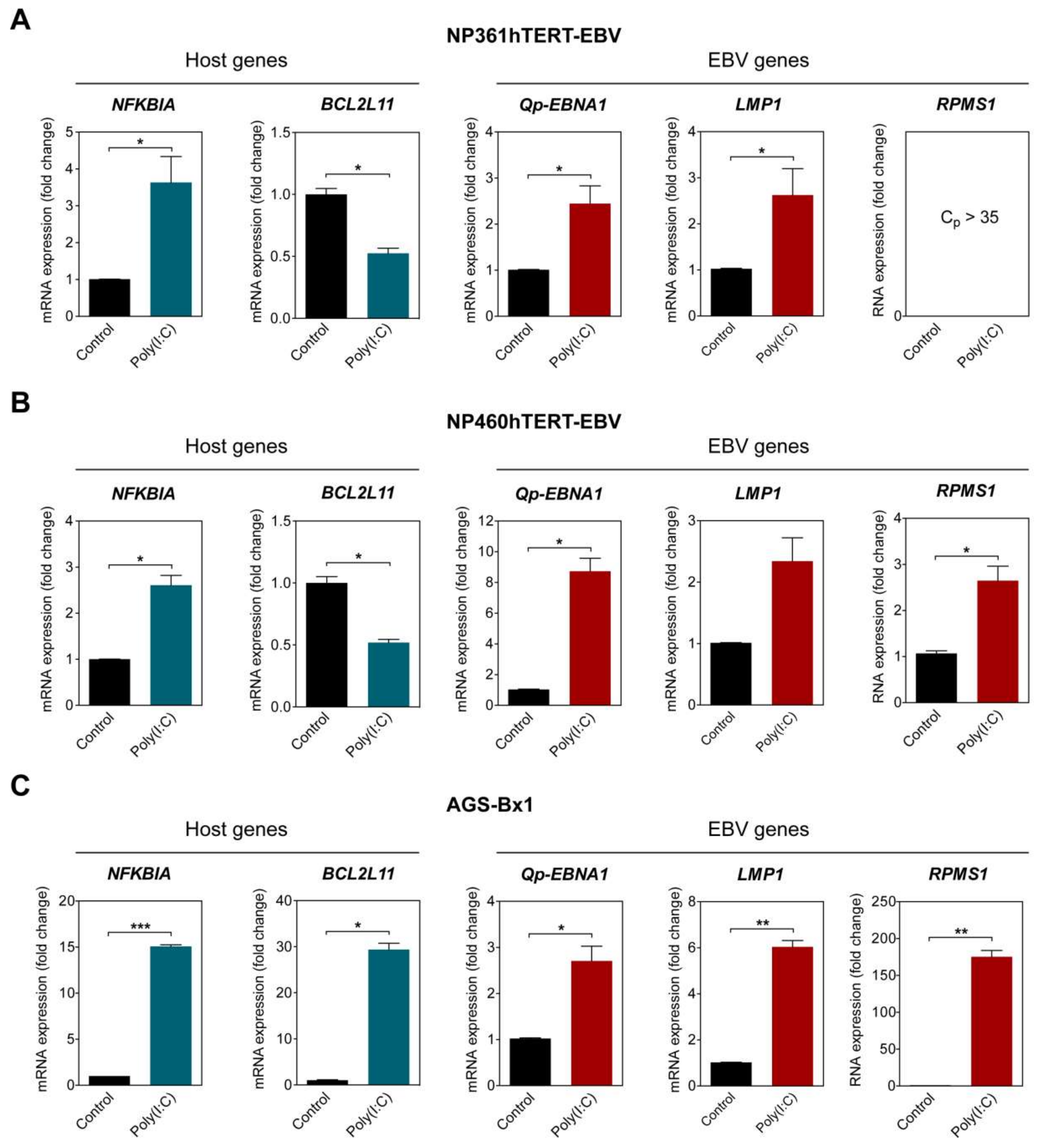Cancers 10 00119 g003 Cancers 10 00119 g003