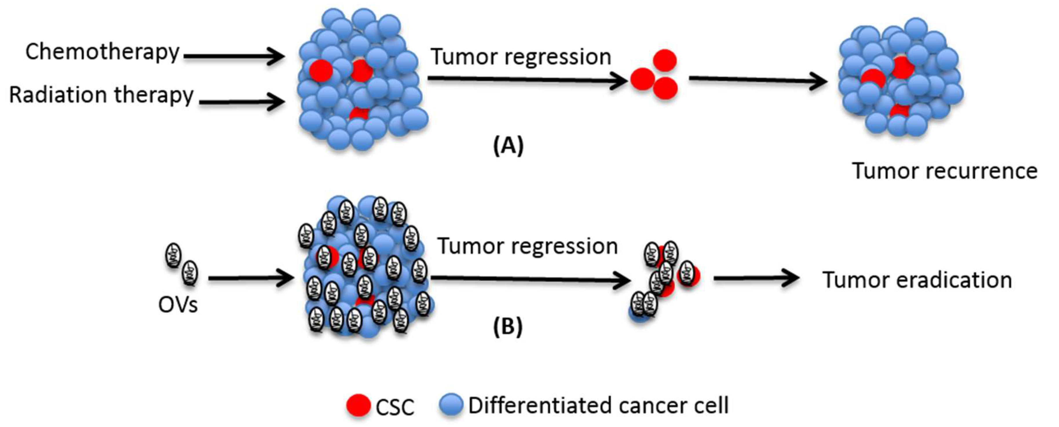 Cancers 10 00124 g001 Cancers 10 00124 g001