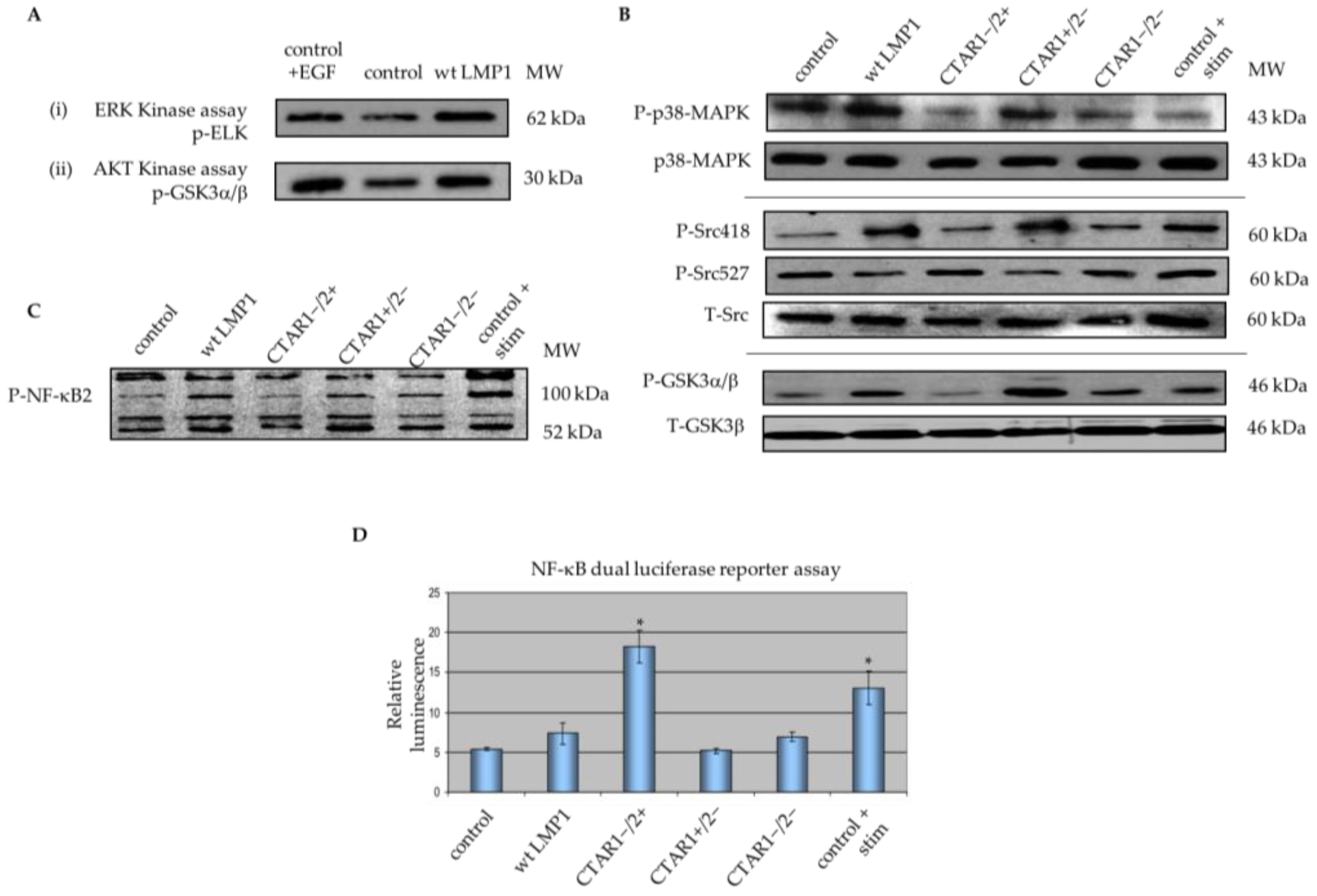 Cancers 10 00130 g005 Cancers 10 00130 g005