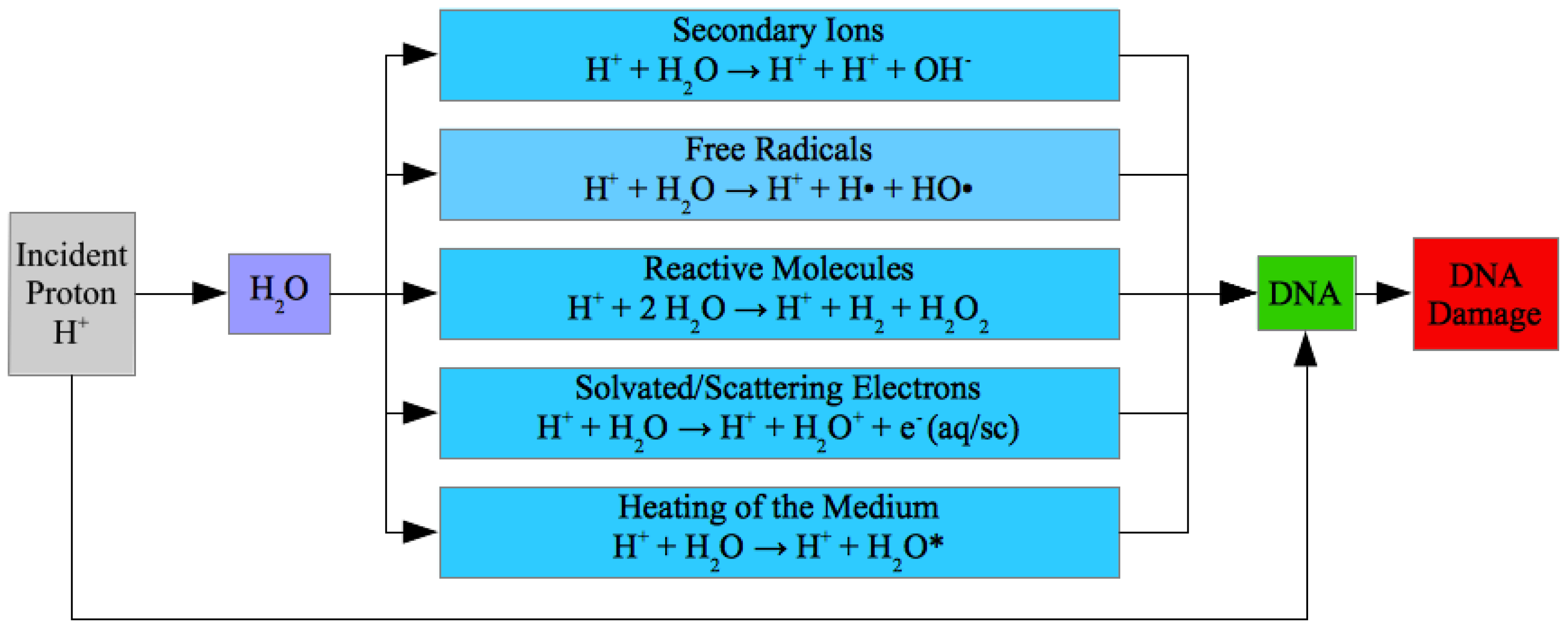 Cancers 10 00136 g001