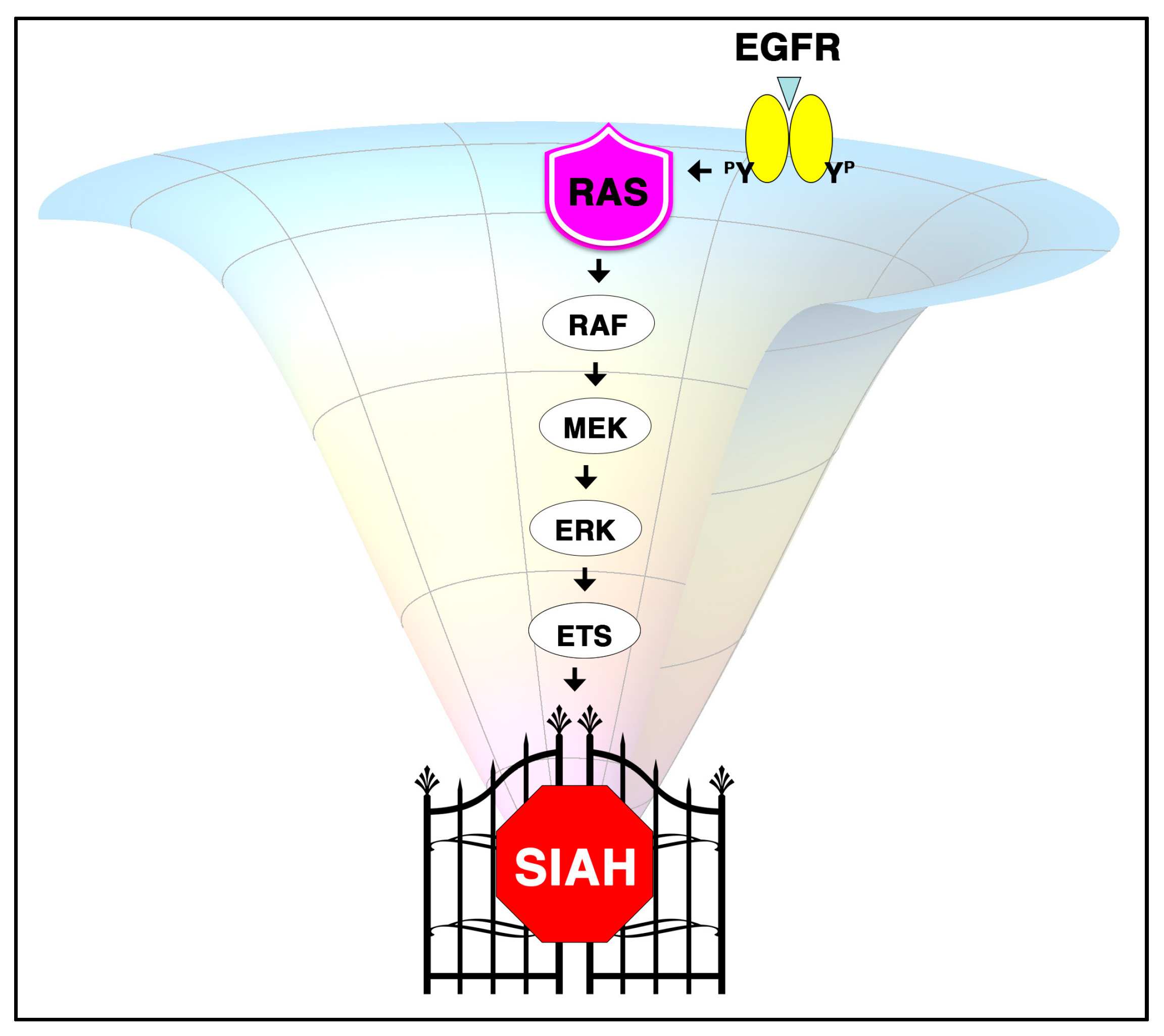 Cancers 10 00142 g001 Cancers 10 00142 g001