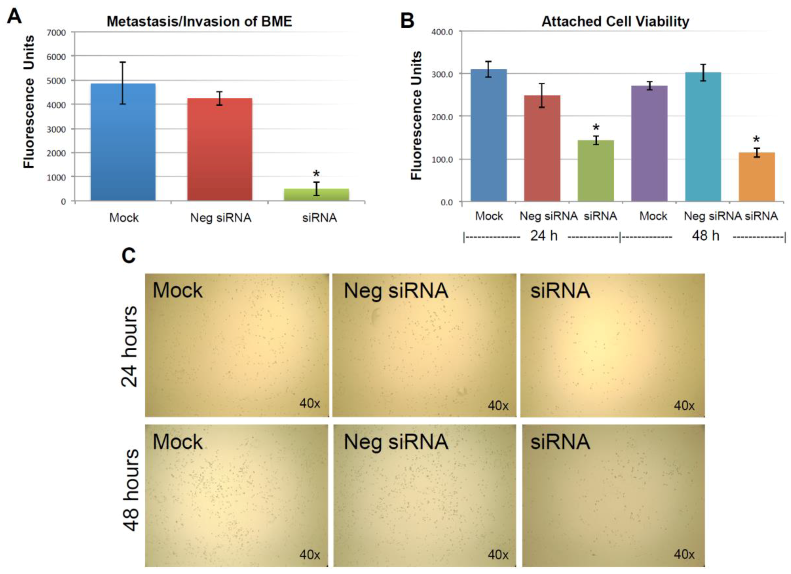 Cancers 10 00180 g004 Cancers 10 00180 g004