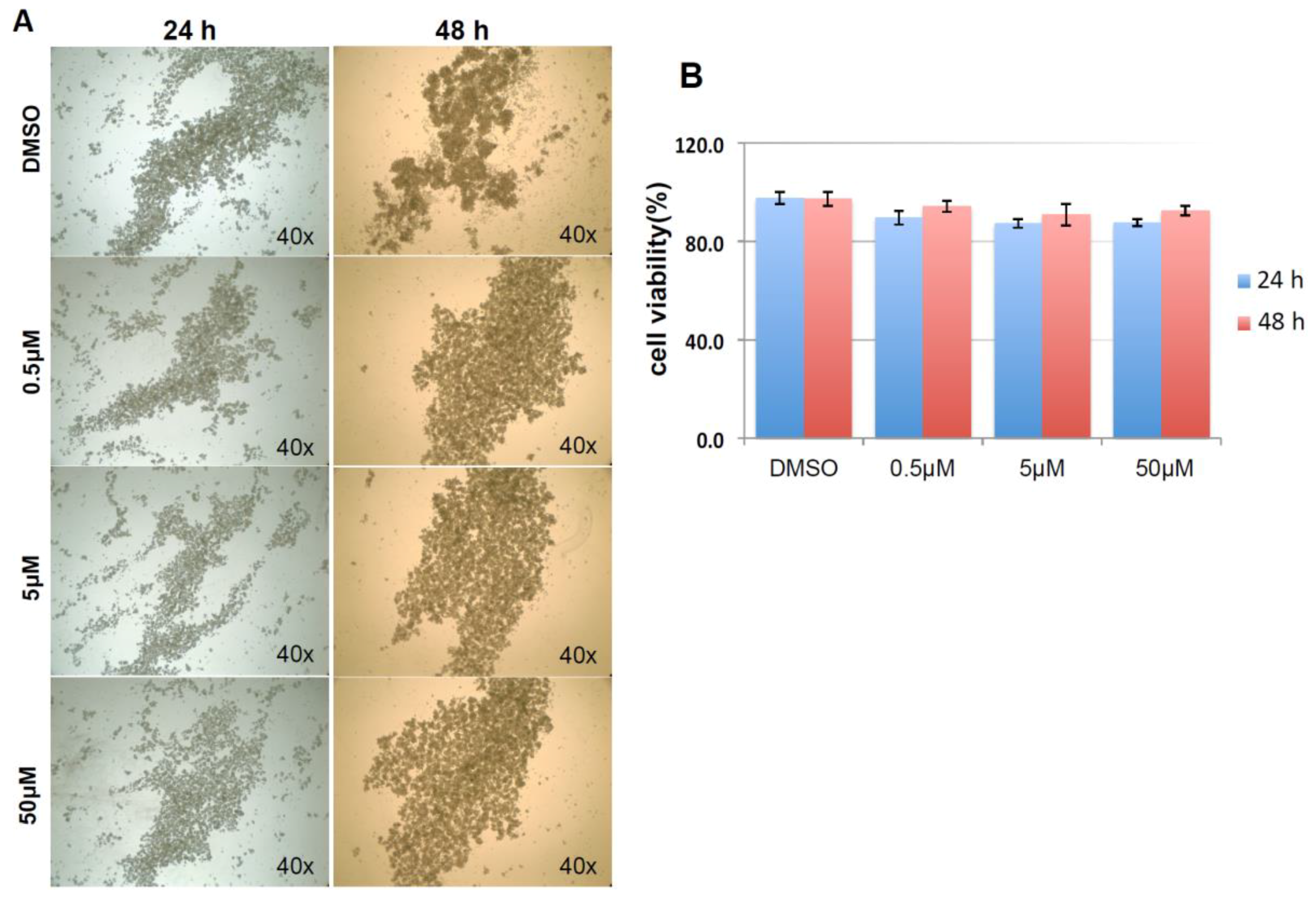 Cancers 10 00180 g010 Cancers 10 00180 g010