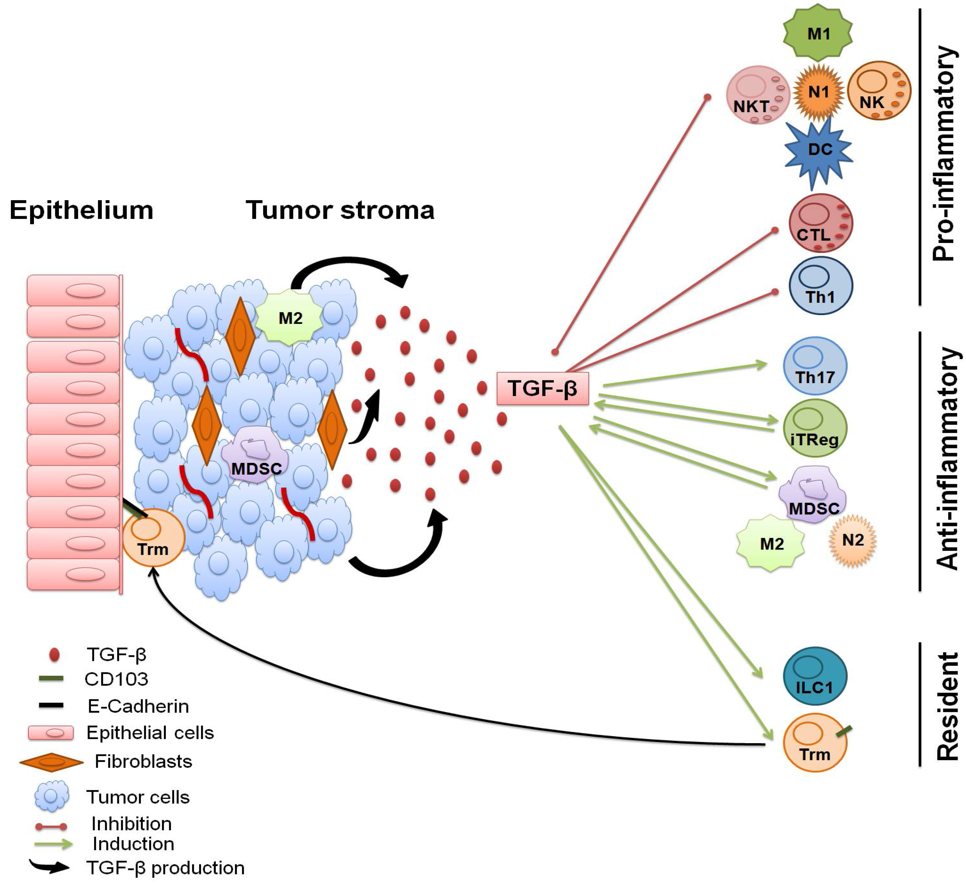 Cancers 10 00194 g002 Cancers 10 00194 g002