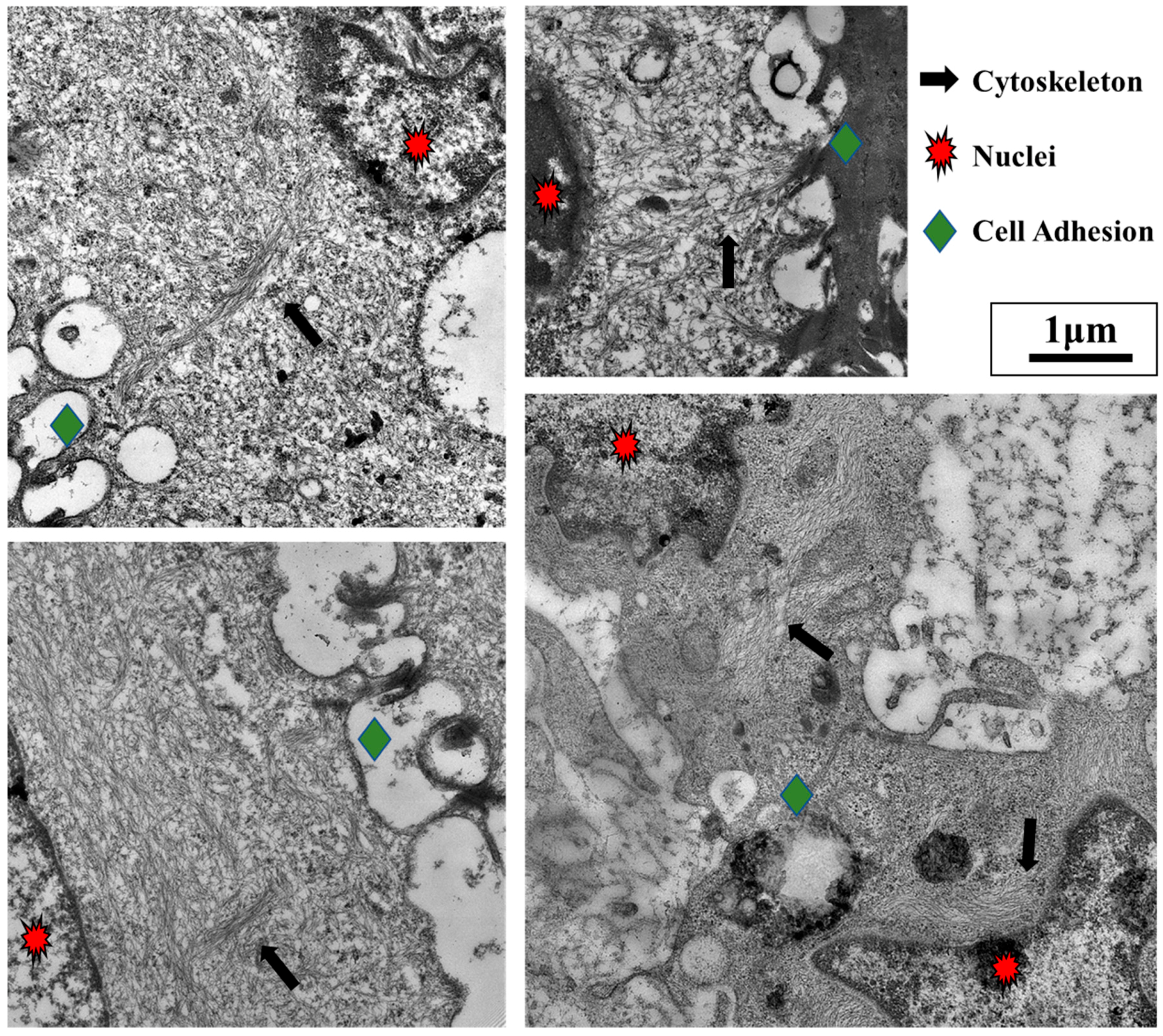 Cancers 10 00199 g005