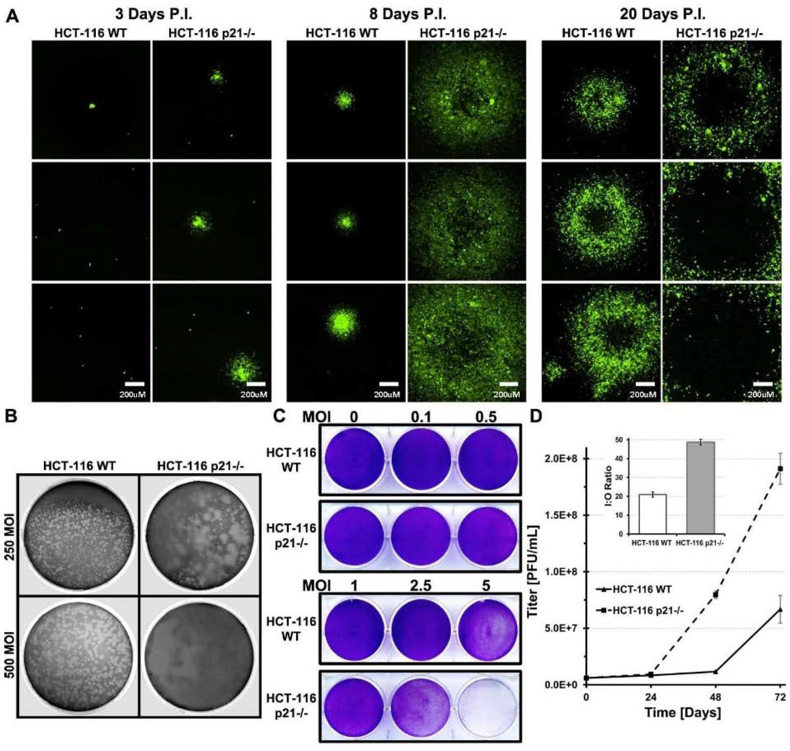 Cancers 10 00202 g004 Cancers 10 00202 g004