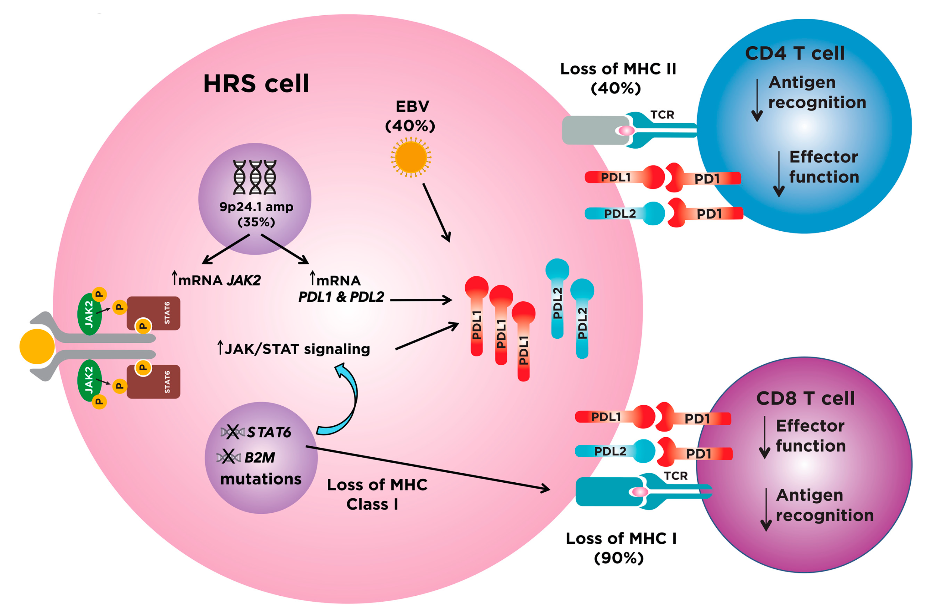 Cancers 10 00204 g001 Cancers 10 00204 g001