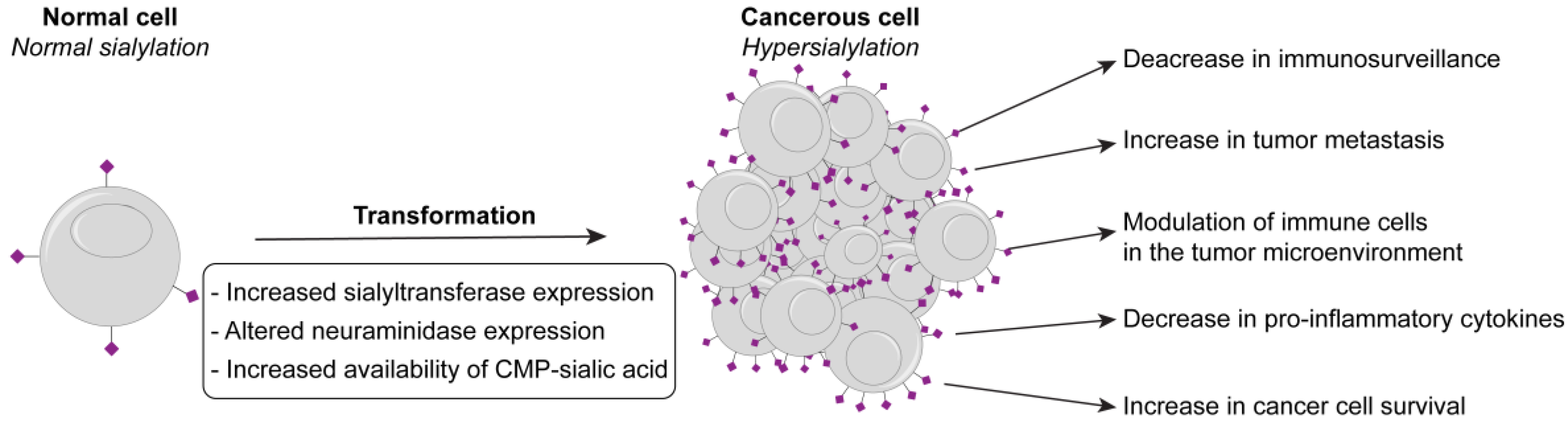 Cancers 10 00207 g001 Cancers 10 00207 g001