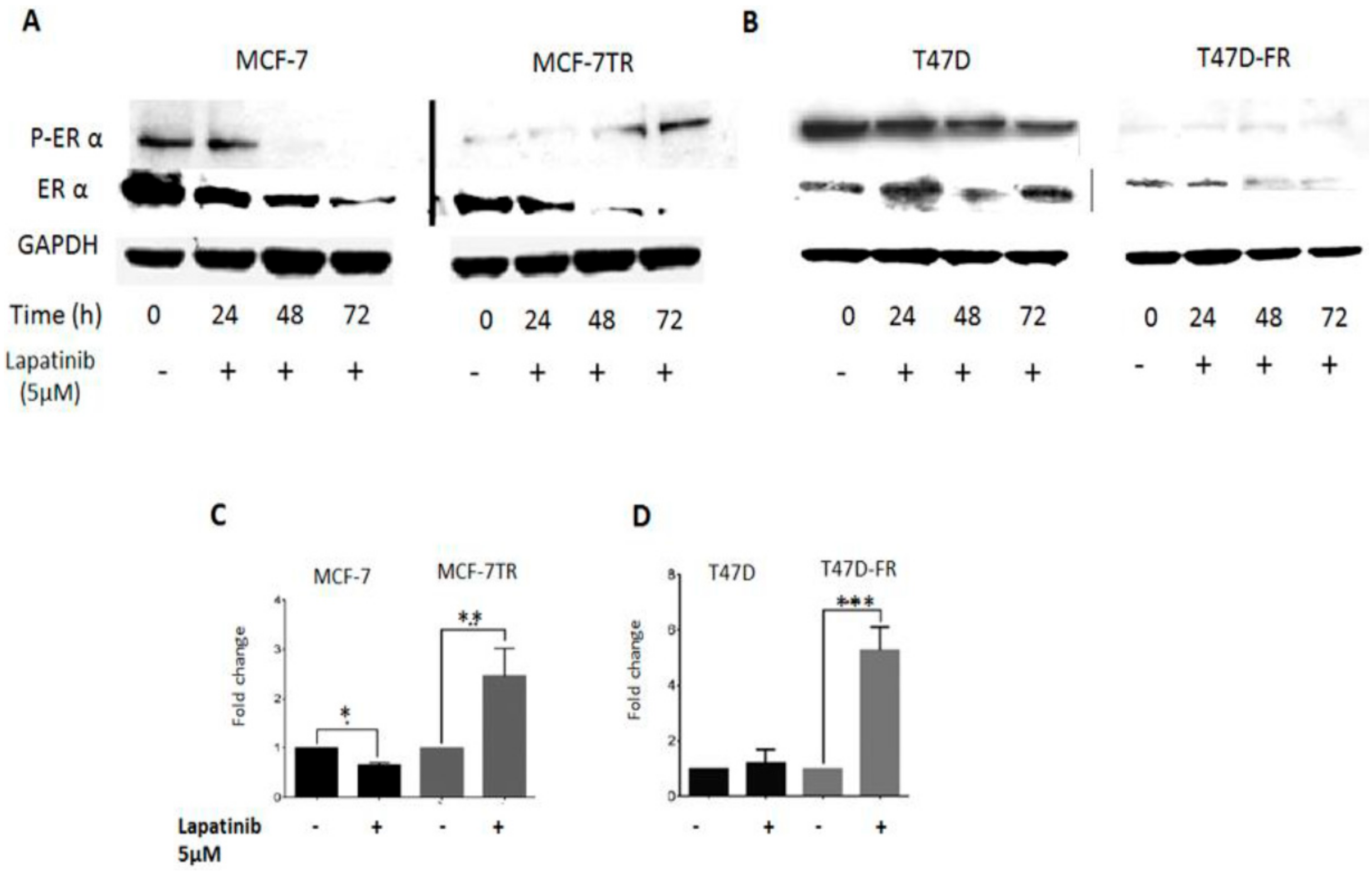 Cancers 10 00209 g006