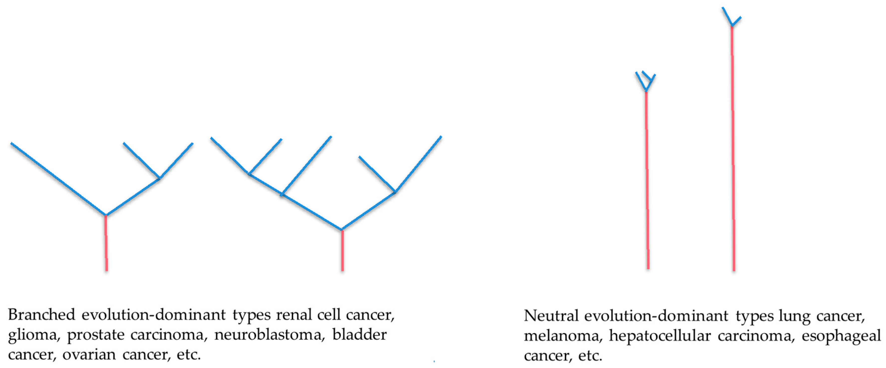 Cancers 10 00212 g001 Cancers 10 00212 g001