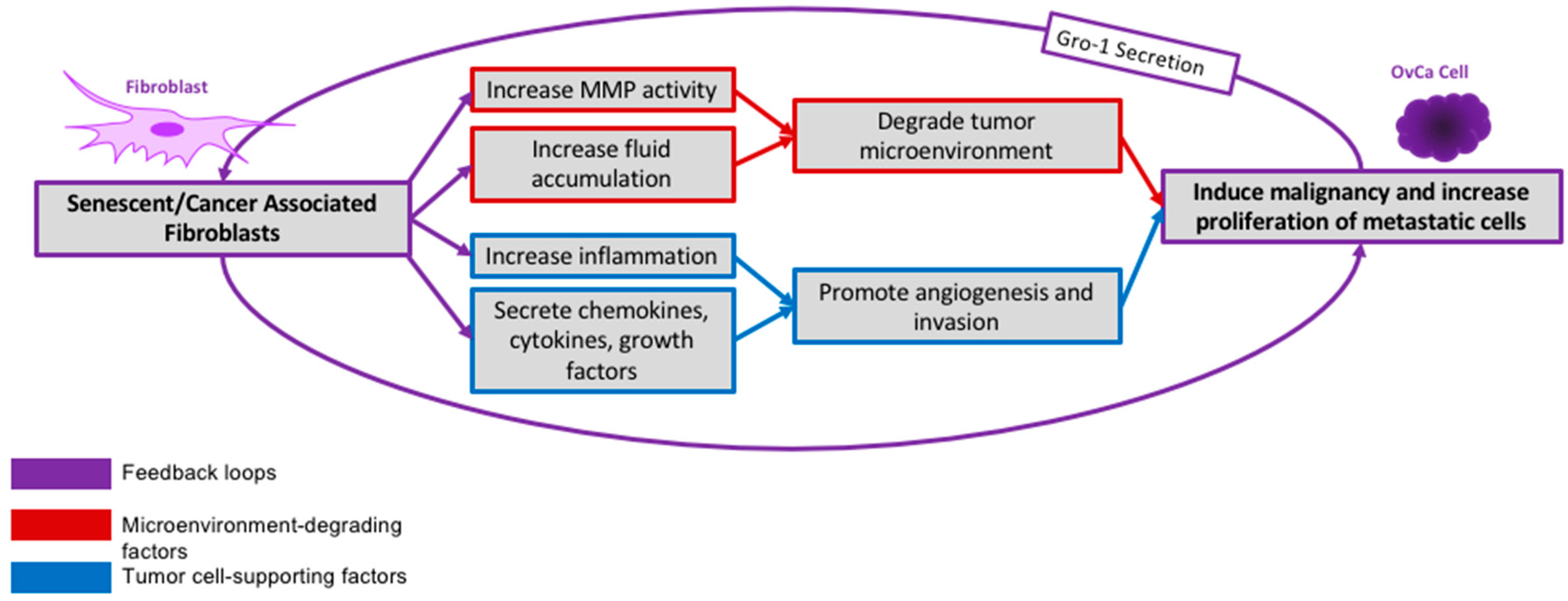 Cancers 10 00230 g003