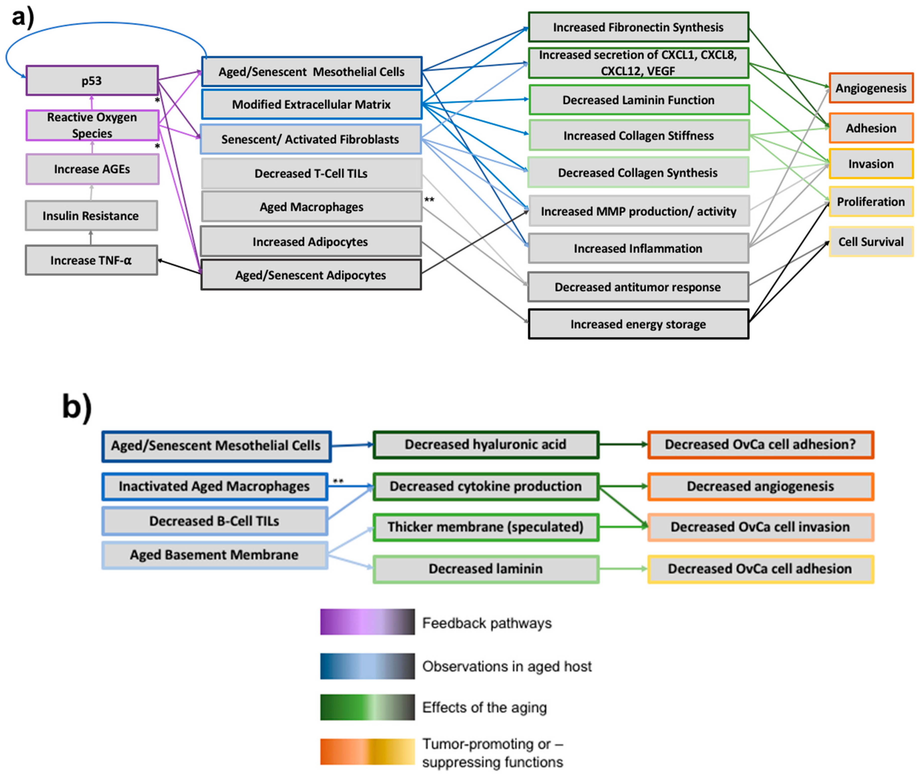 Cancers 10 00230 g004