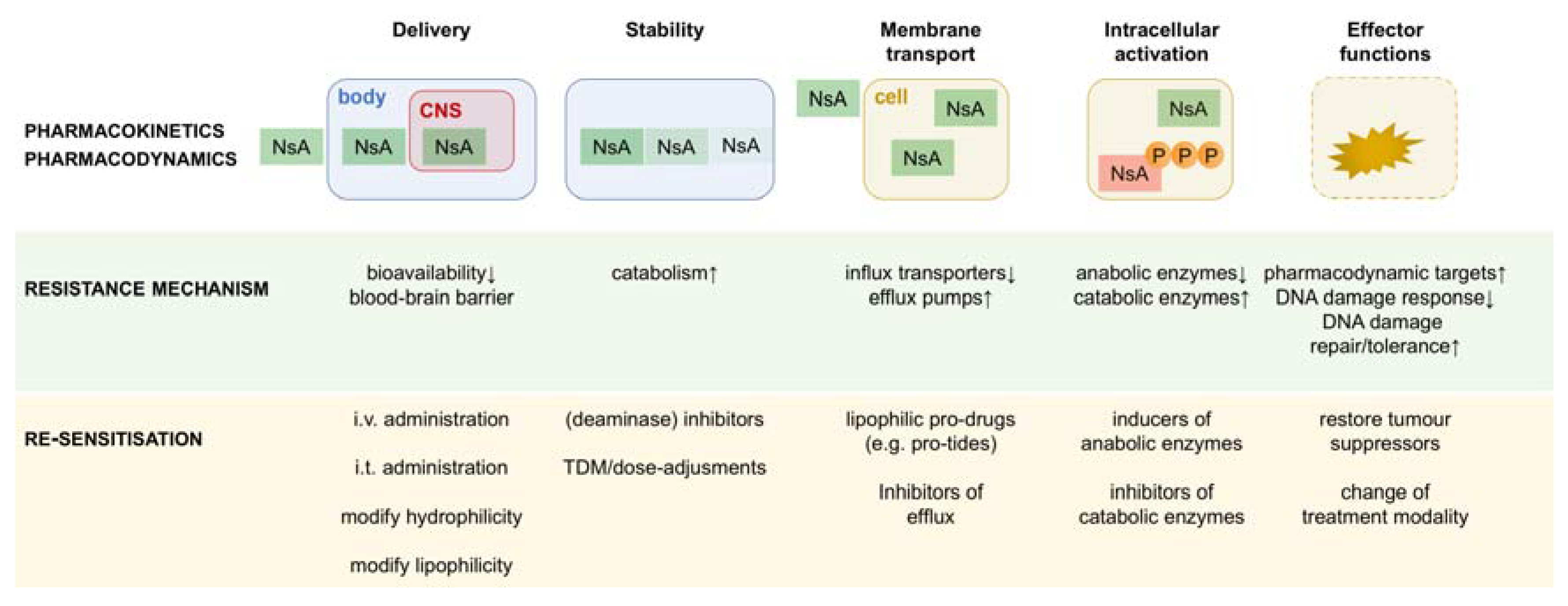 Cancers 10 00240 g002