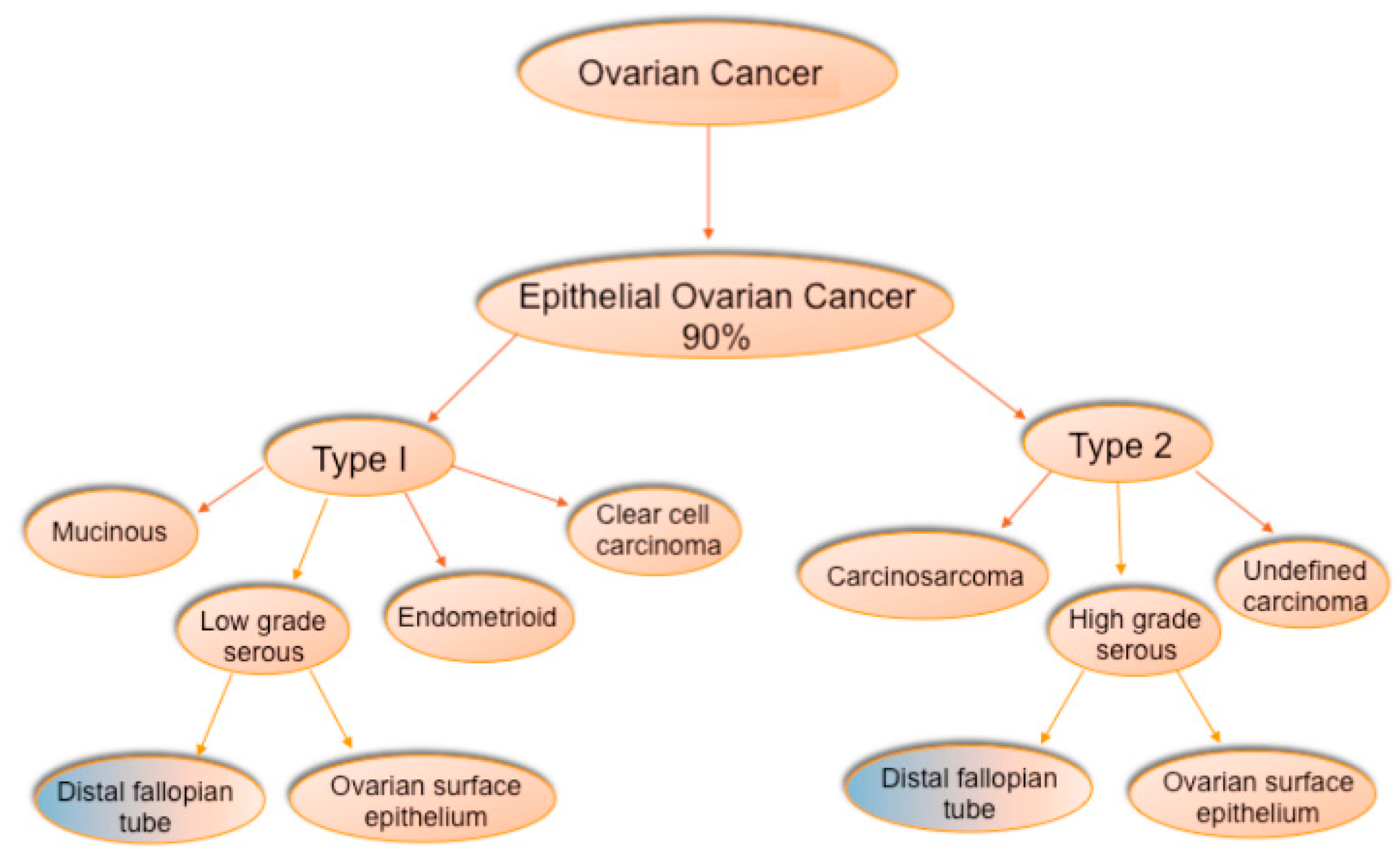 Cancers 10 00241 g001 Cancers 10 00241 g001