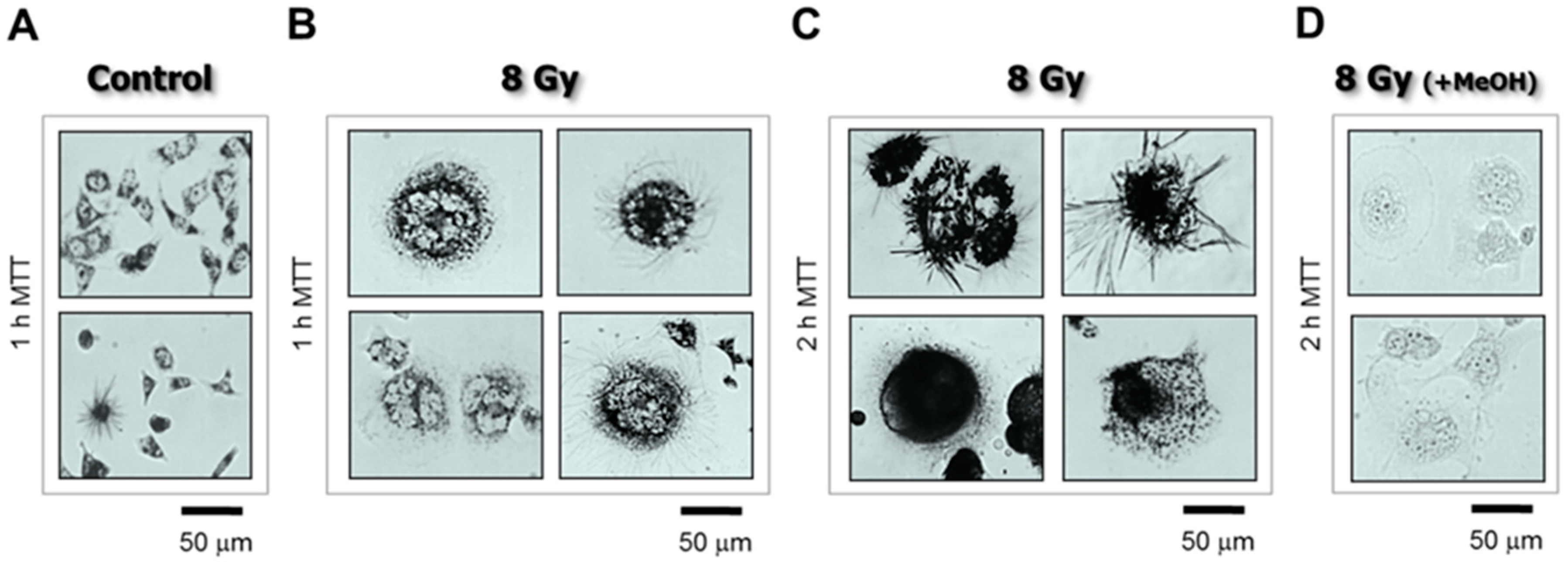 Cancers 10 00255 g003