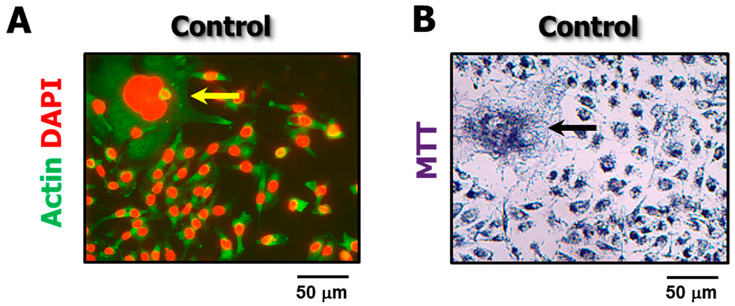 Cancers 10 00255 g004