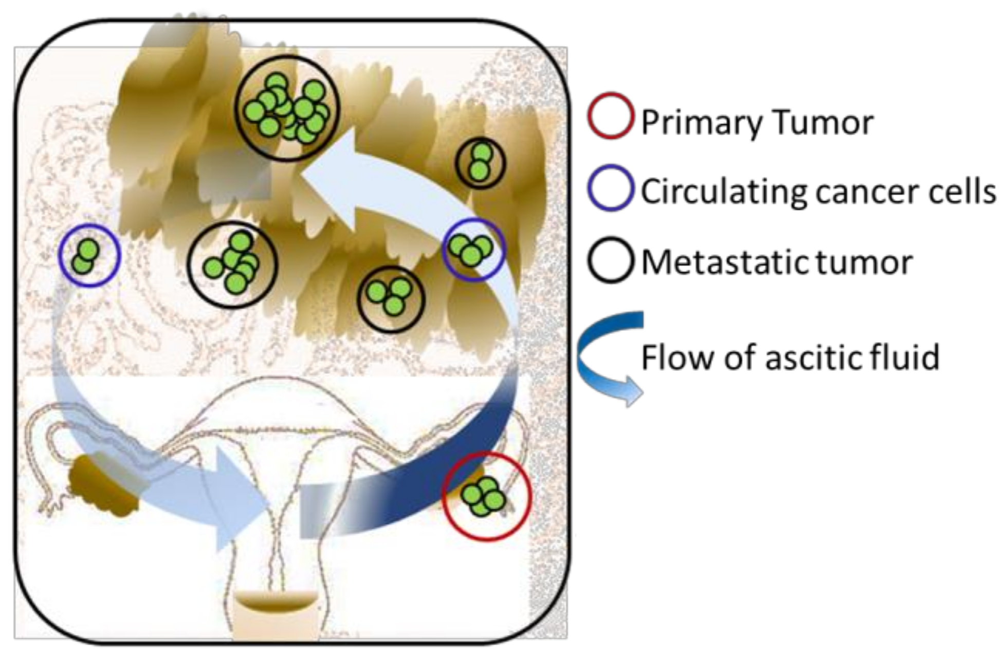 Cancers 10 00265 g001