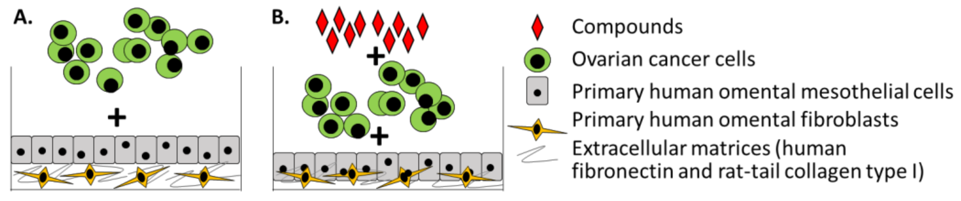 Cancers 10 00265 g002