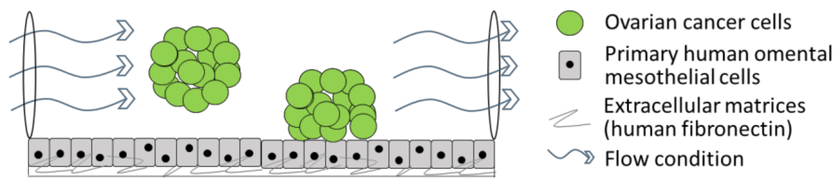 Cancers 10 00265 g003