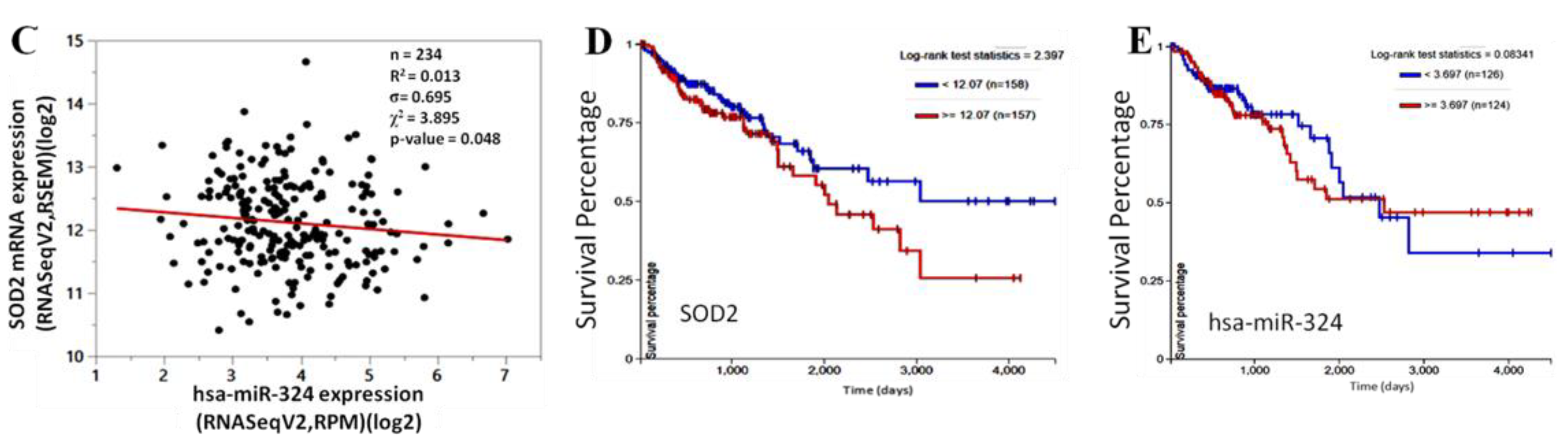 Cancers 10 00269 g003b