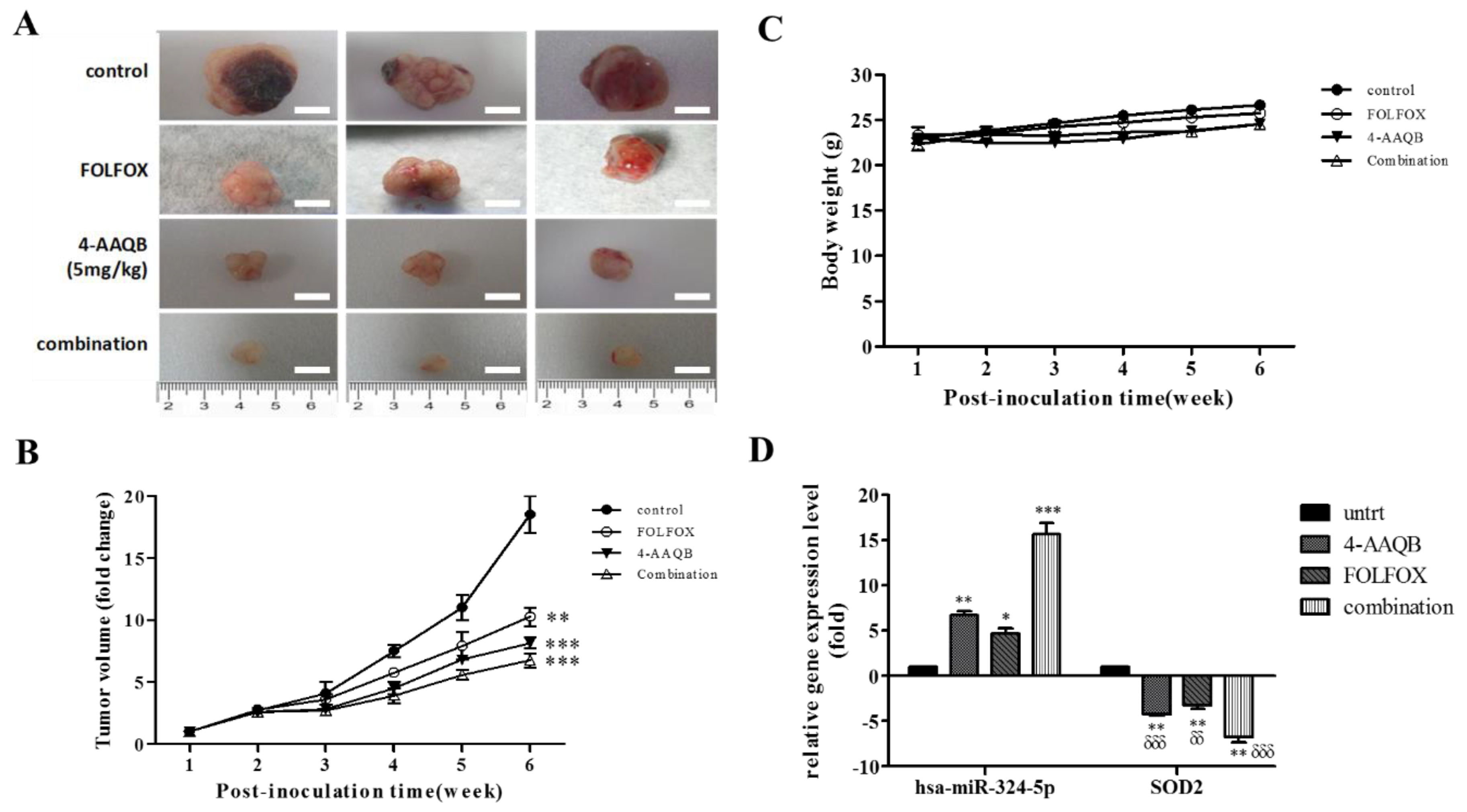 Cancers 10 00269 g008