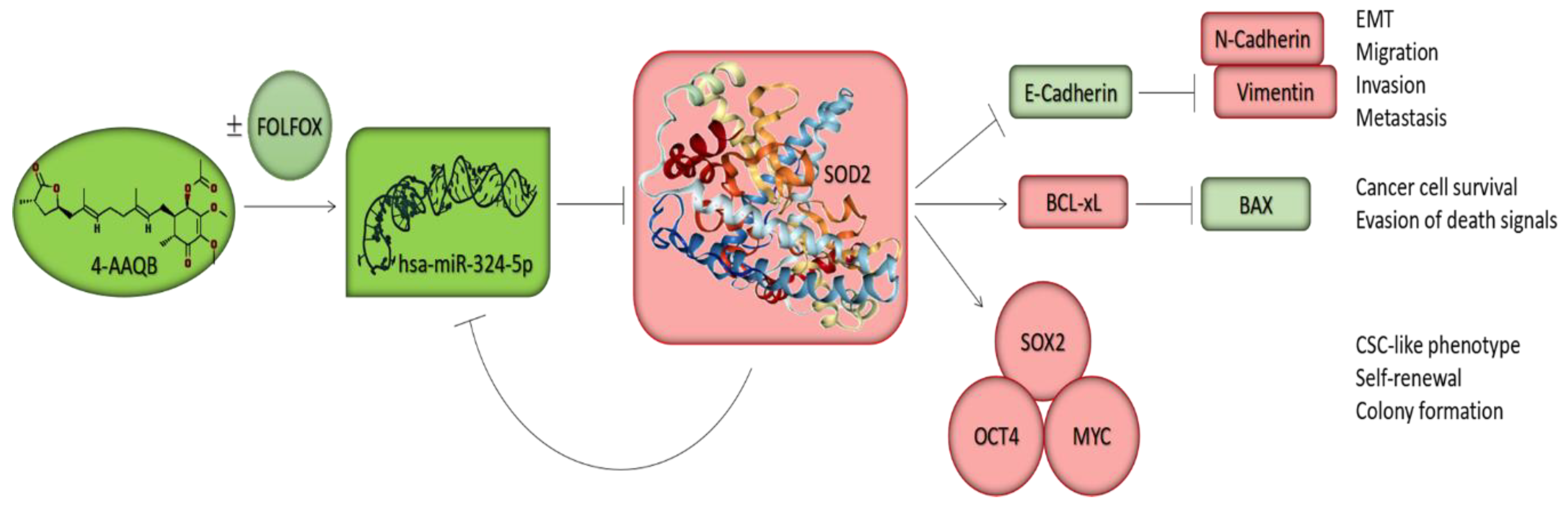 Cancers 10 00269 sch001