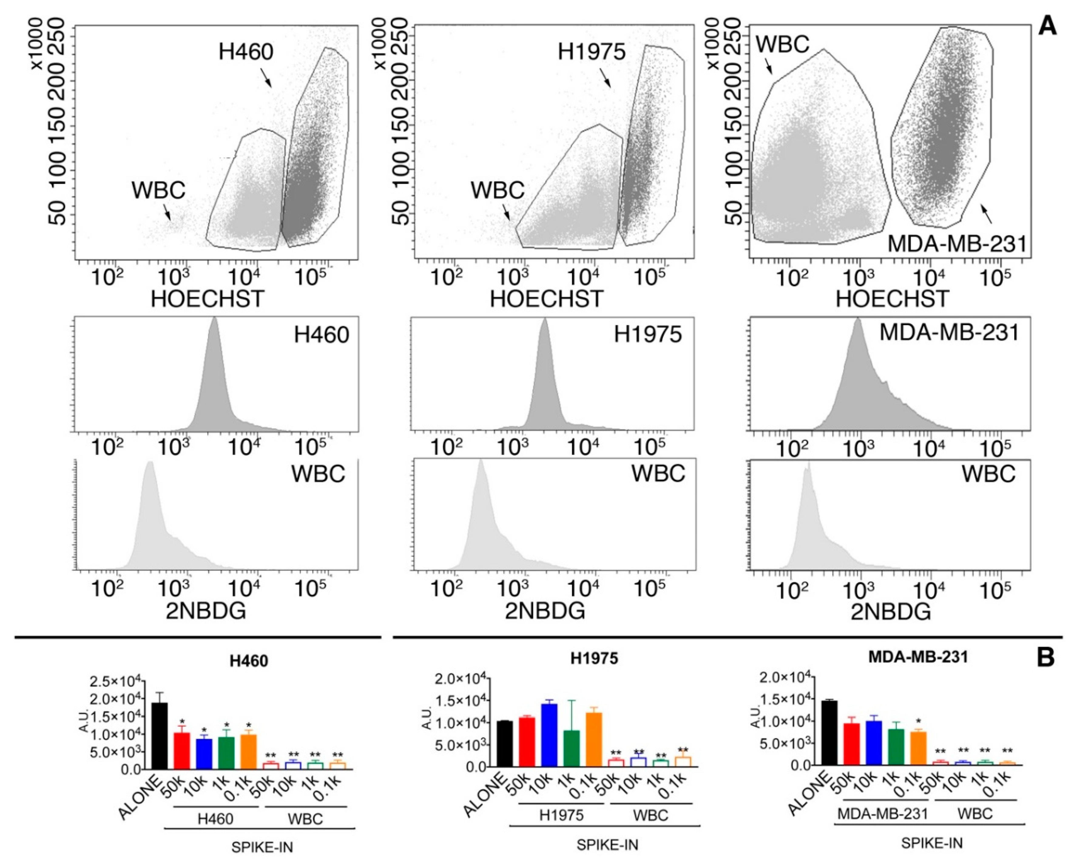 Cancers 10 00270 g002