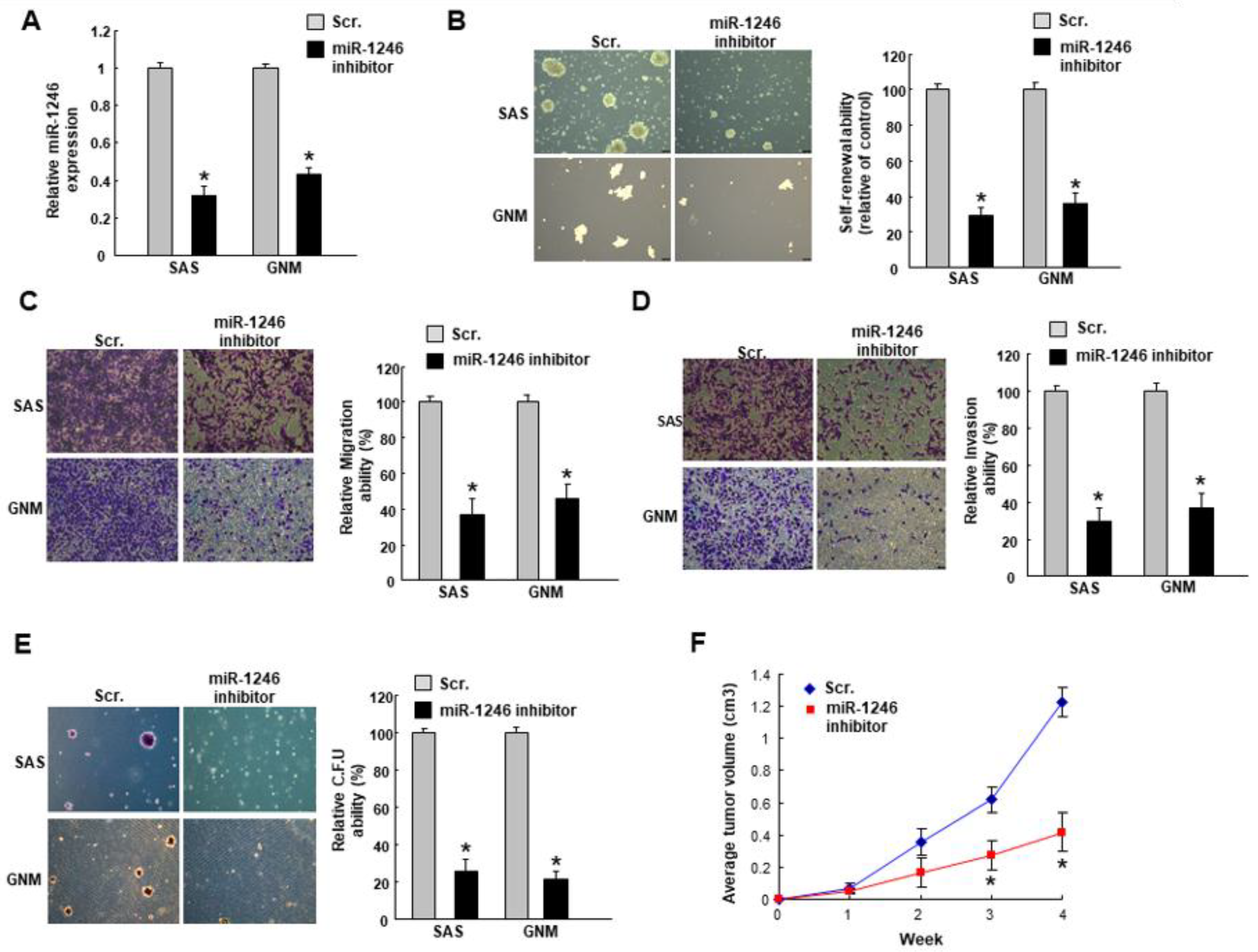 Cancers 10 00272 g002