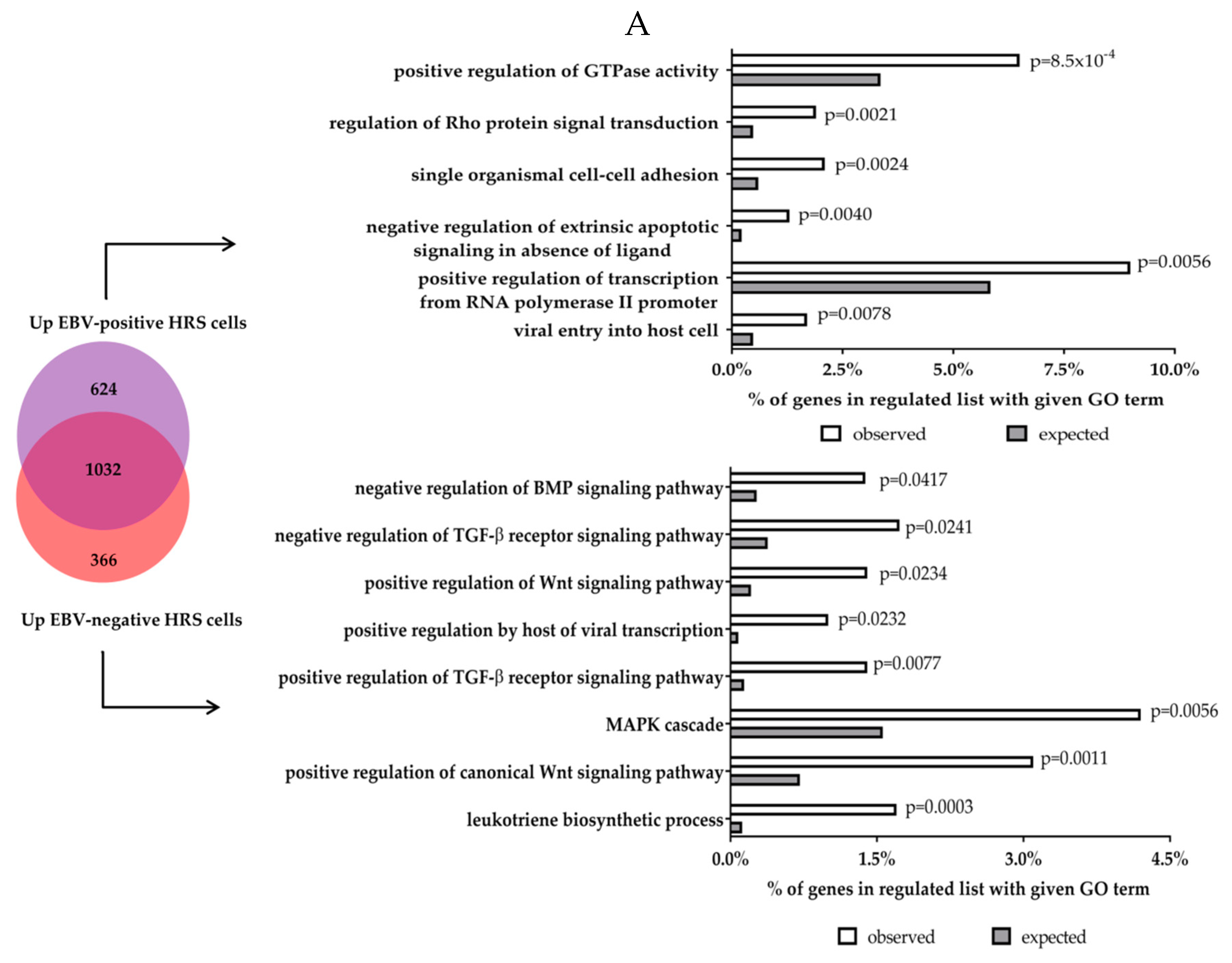 Cancers 10 00285 g001a Cancers 10 00285 g001a