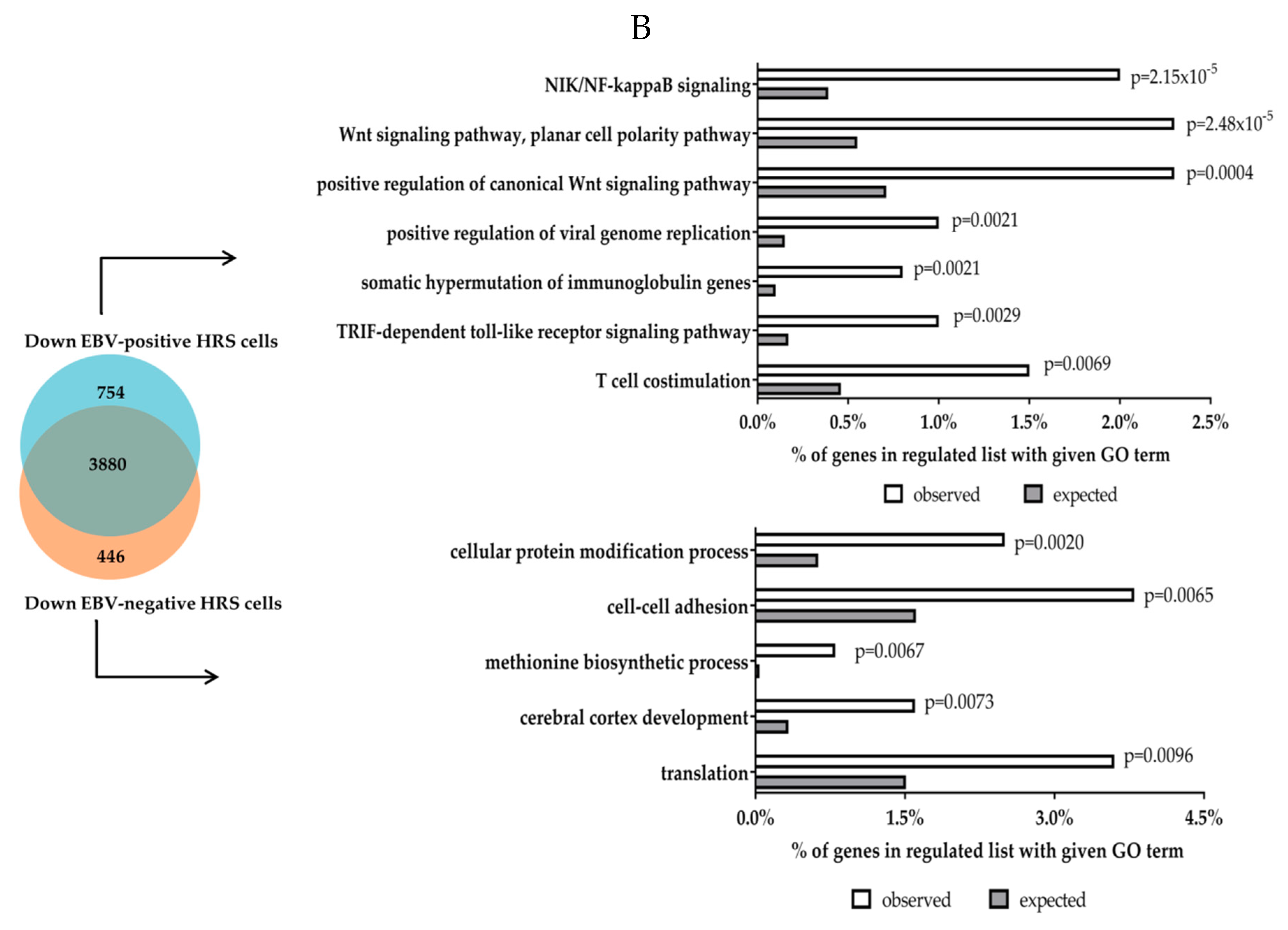 Cancers 10 00285 g001b Cancers 10 00285 g001b