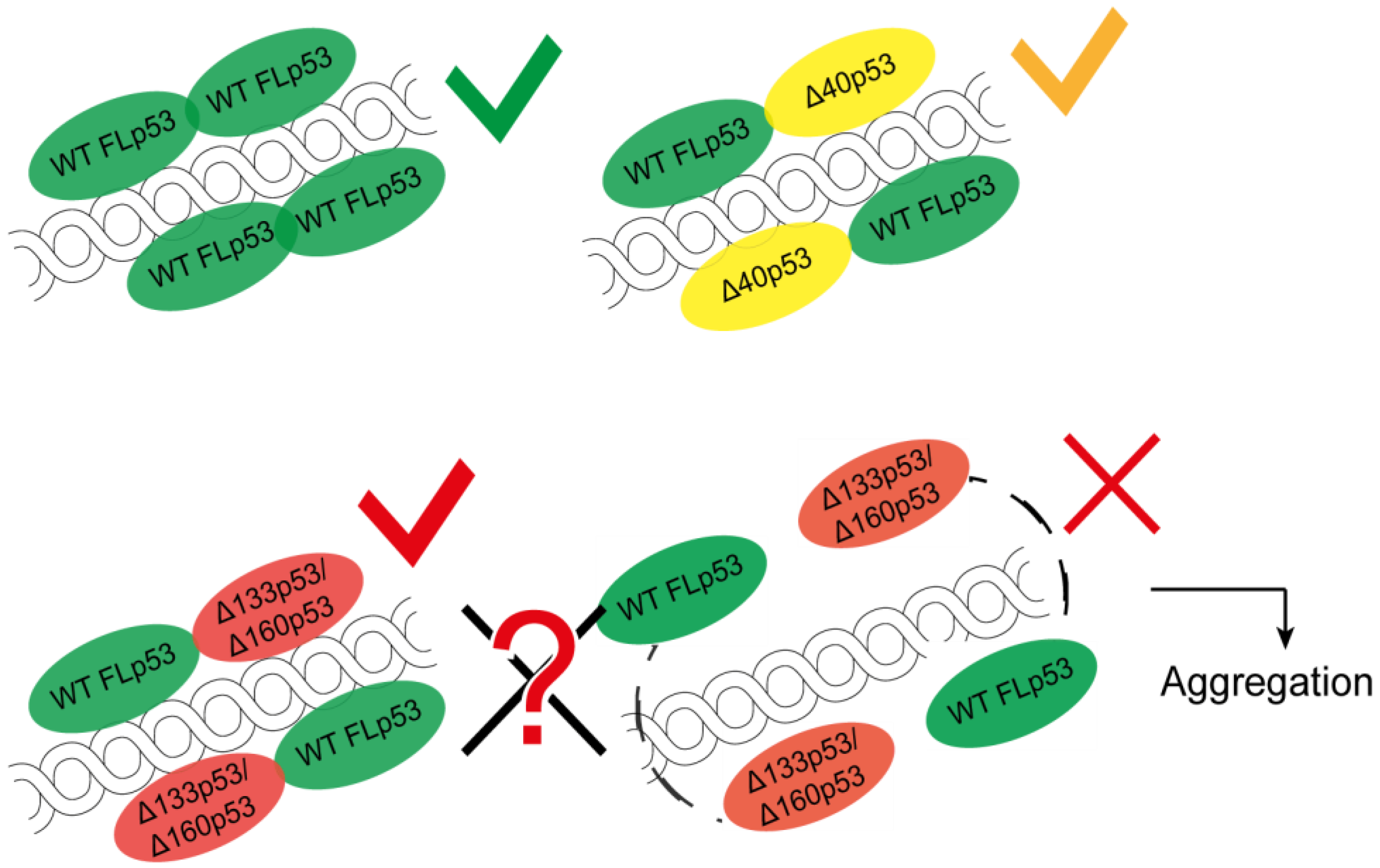 Cancers 10 00288 g004