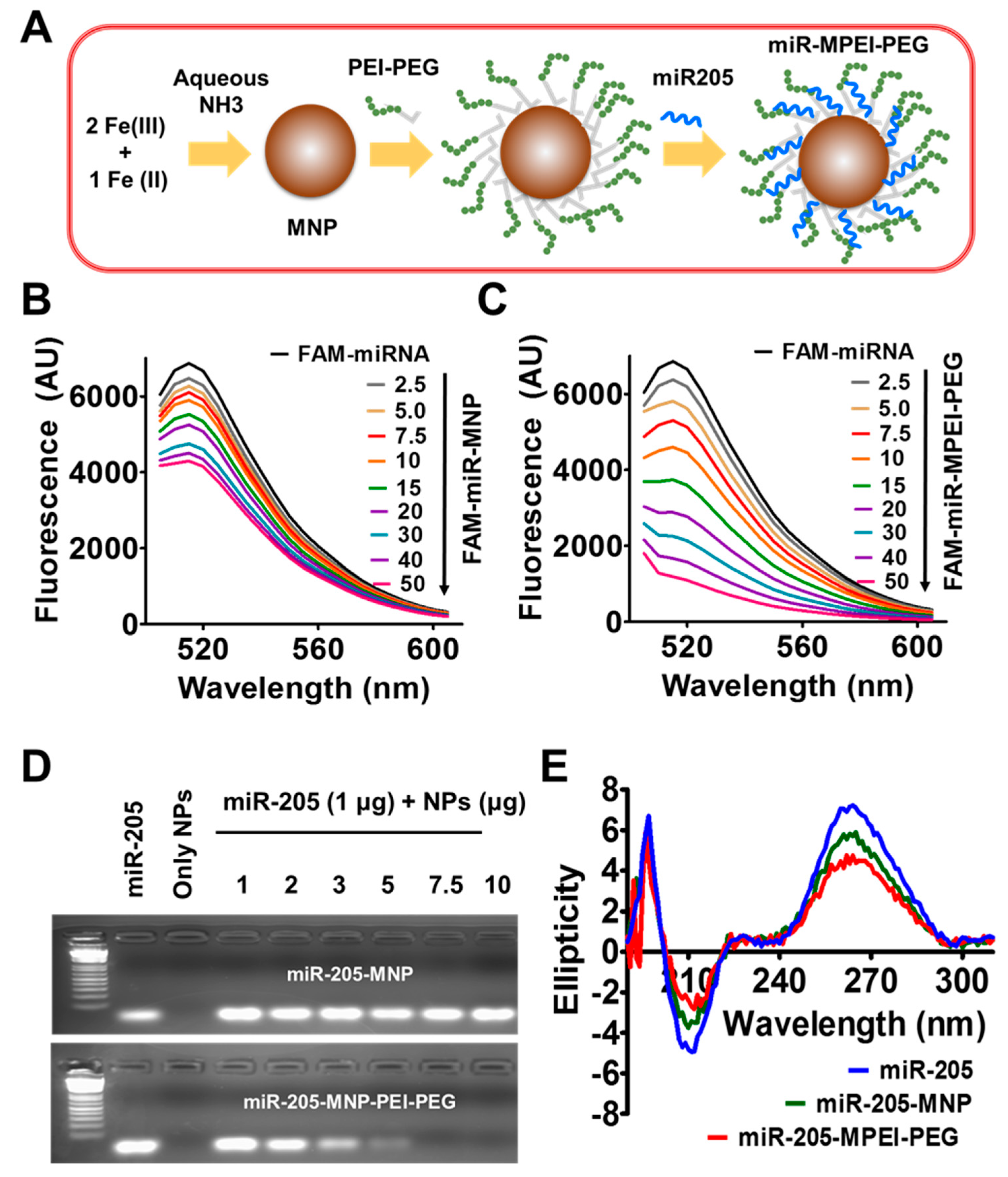 Cancers 10 00289 g001
