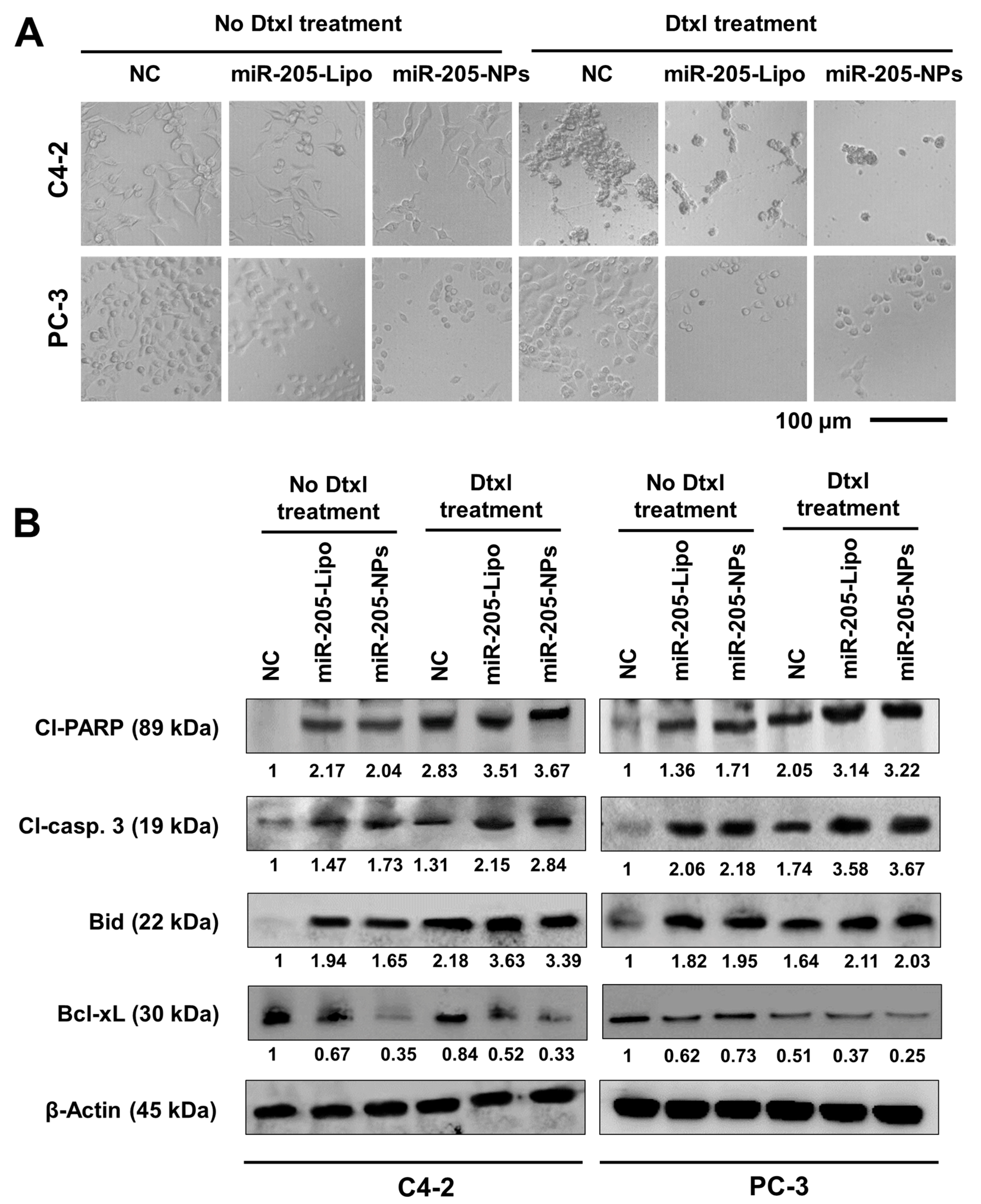 Cancers 10 00289 g005