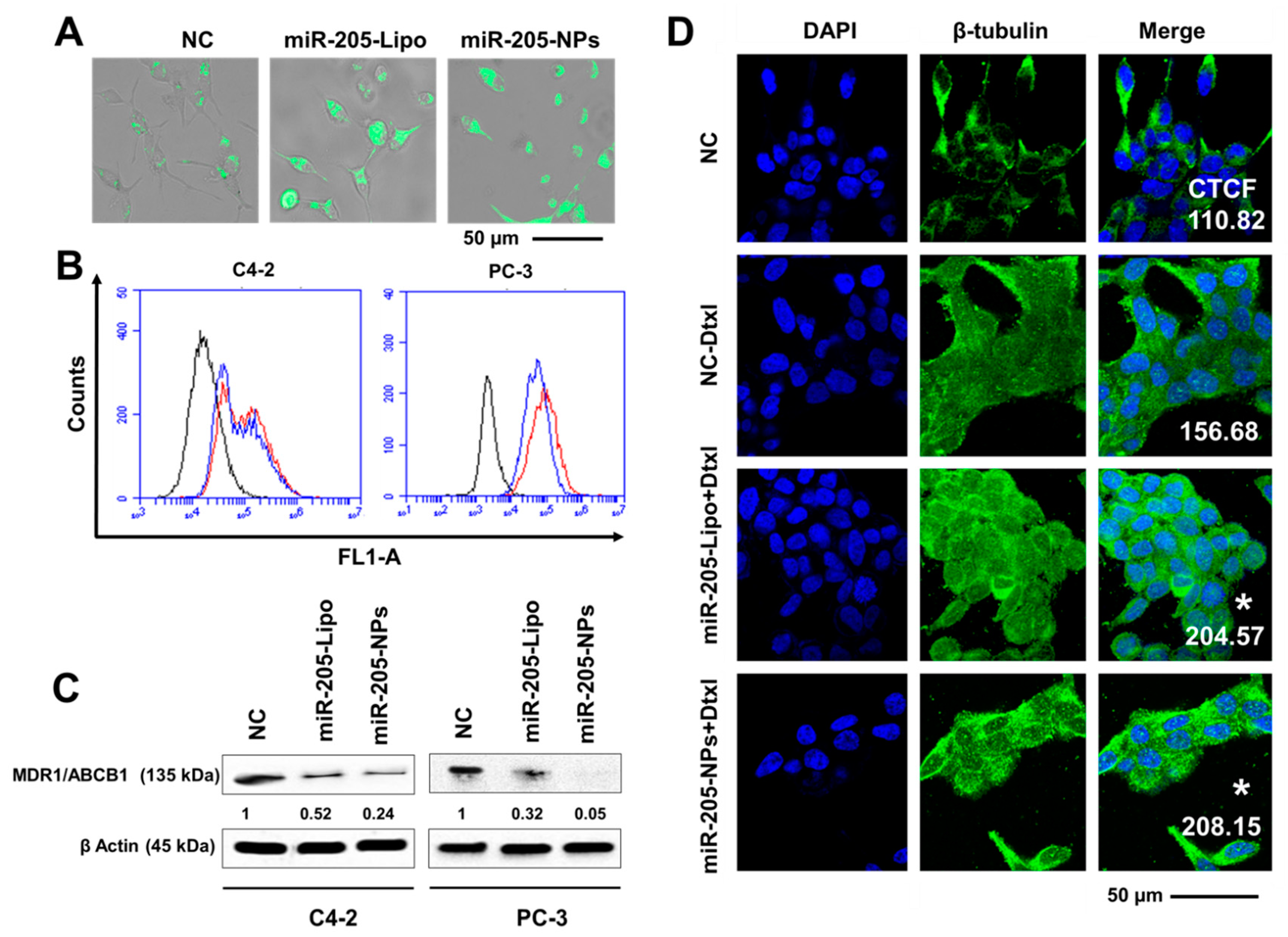 Cancers 10 00289 g007