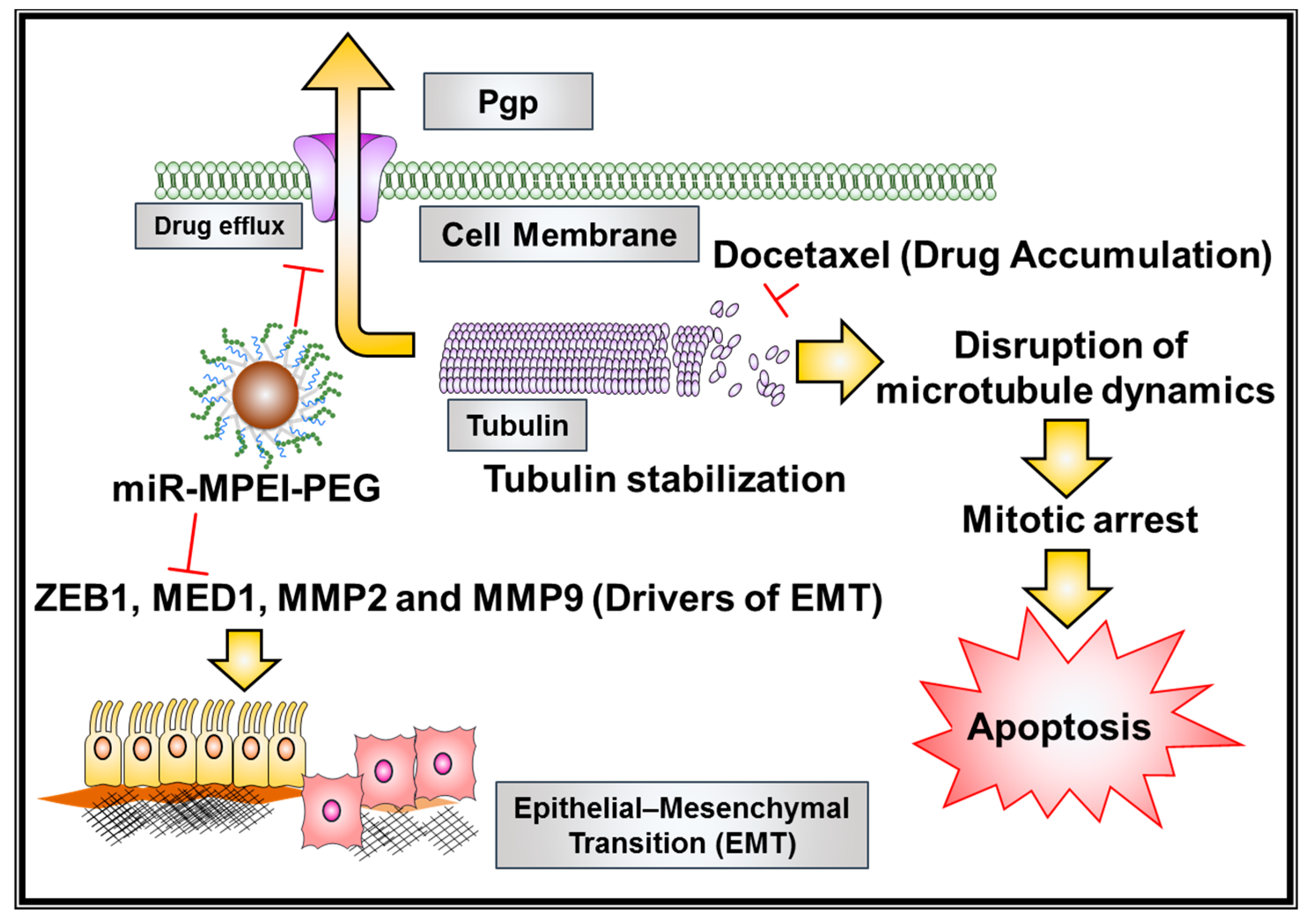 Cancers 10 00289 g008