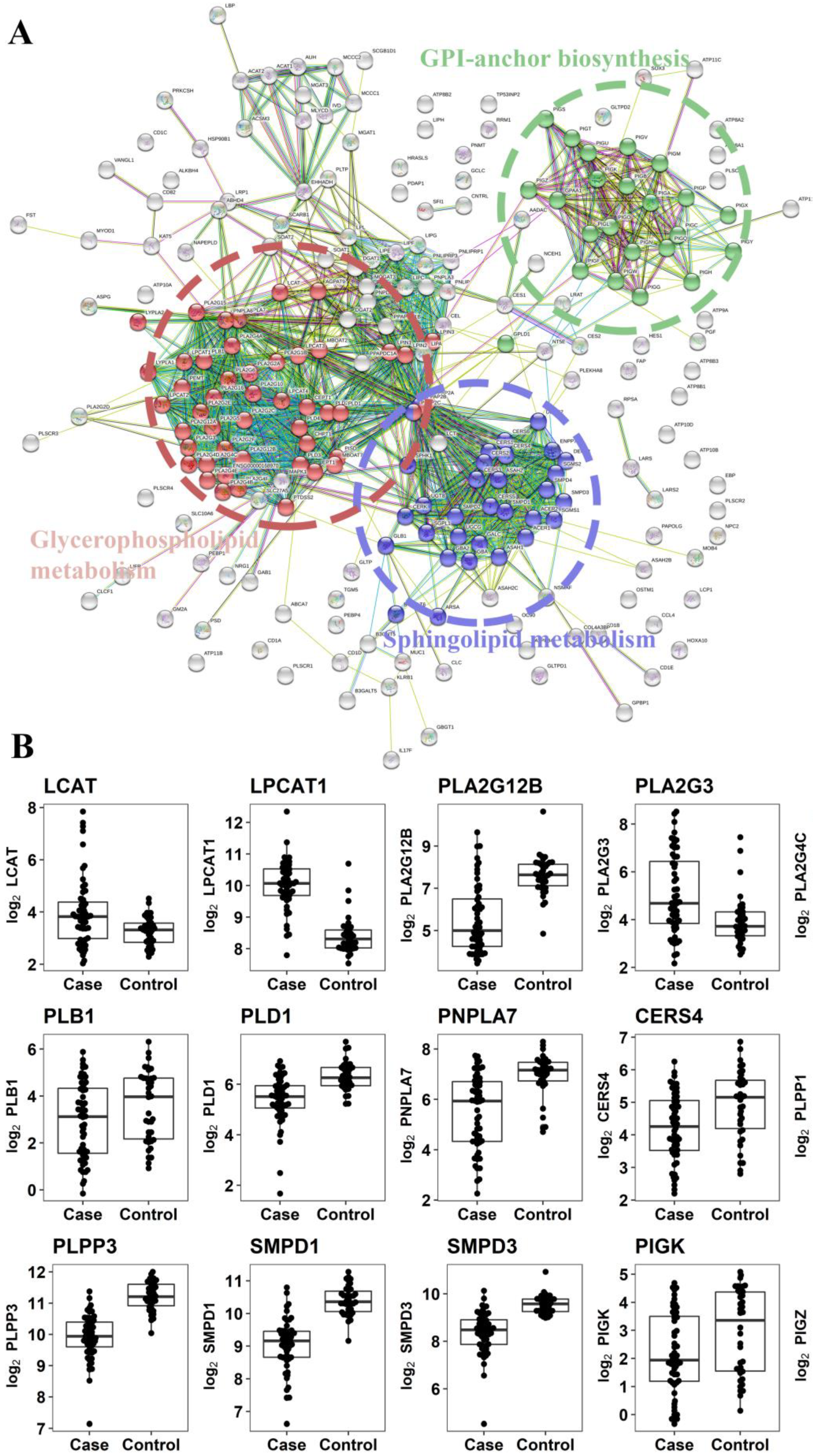 Cancers 10 00300 g004 Cancers 10 00300 g004