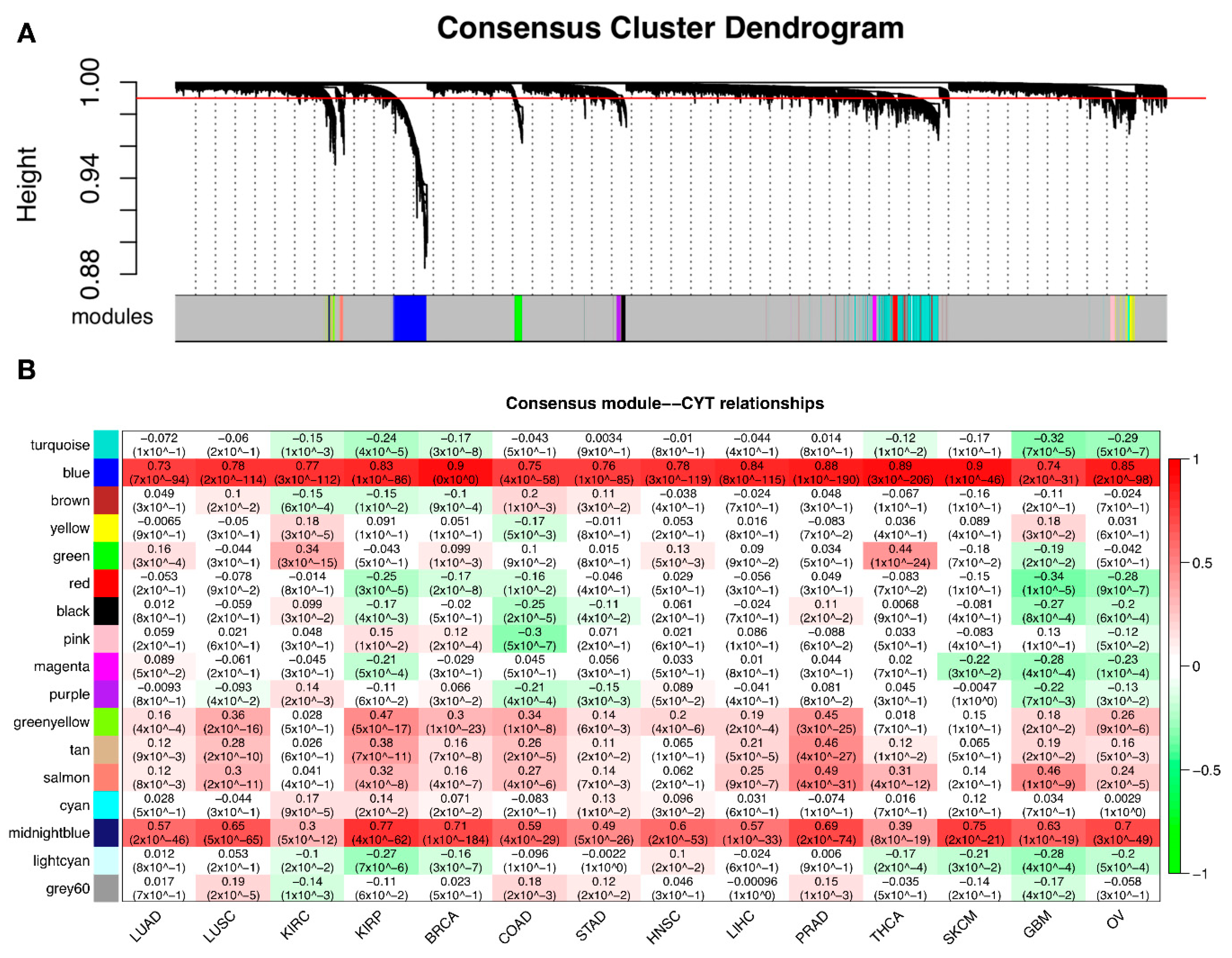 Cancers 10 00307 g005